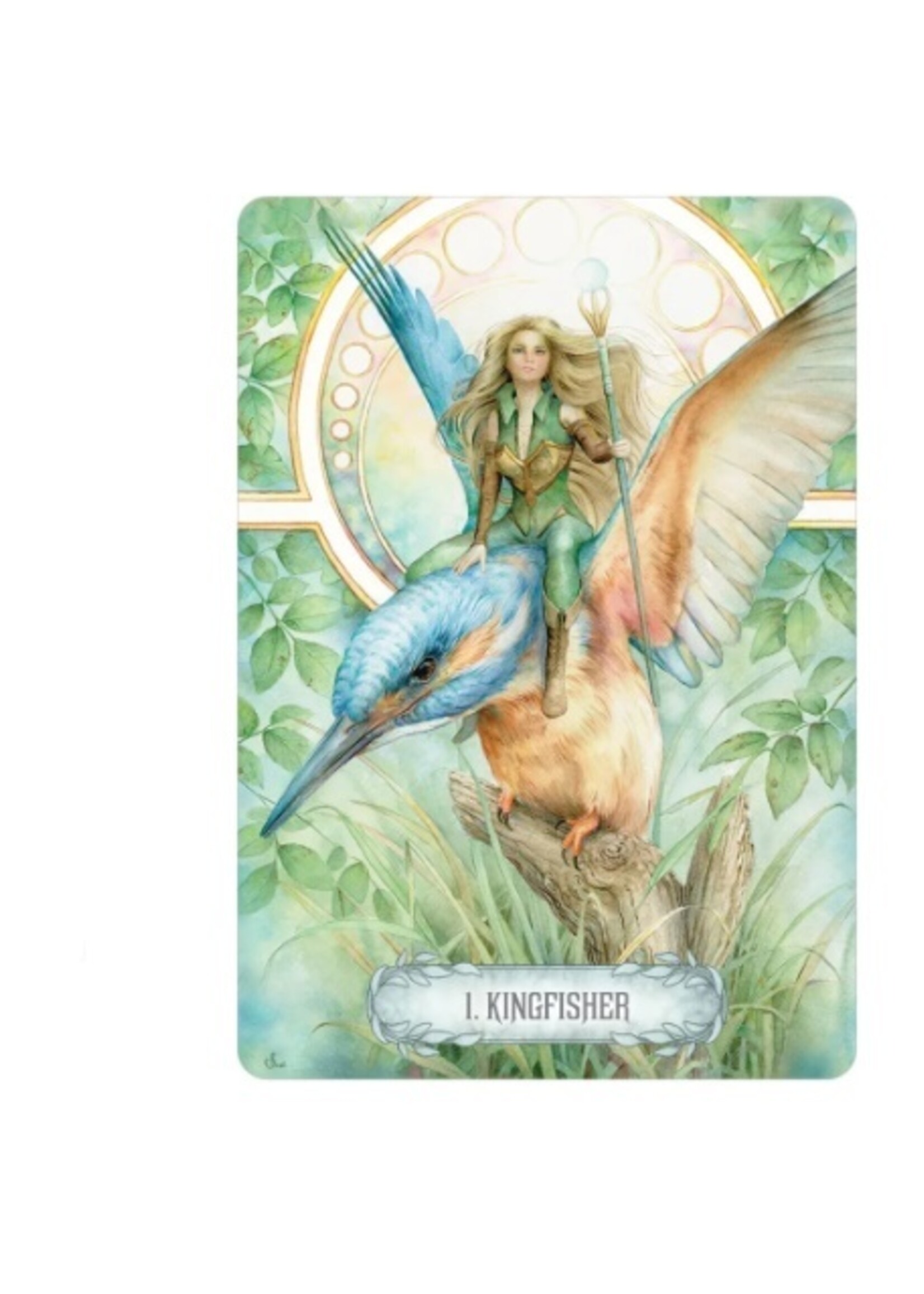 Oracle of Light & Dreams 49-Card Deck & Book