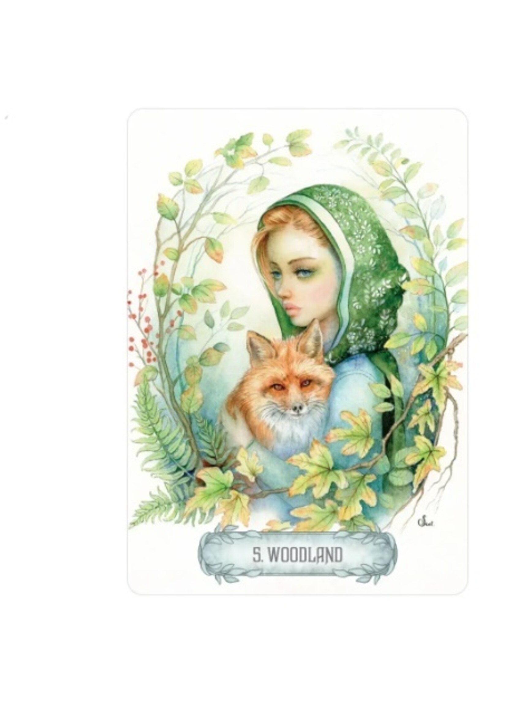 Oracle of Light & Dreams 49-Card Deck & Book