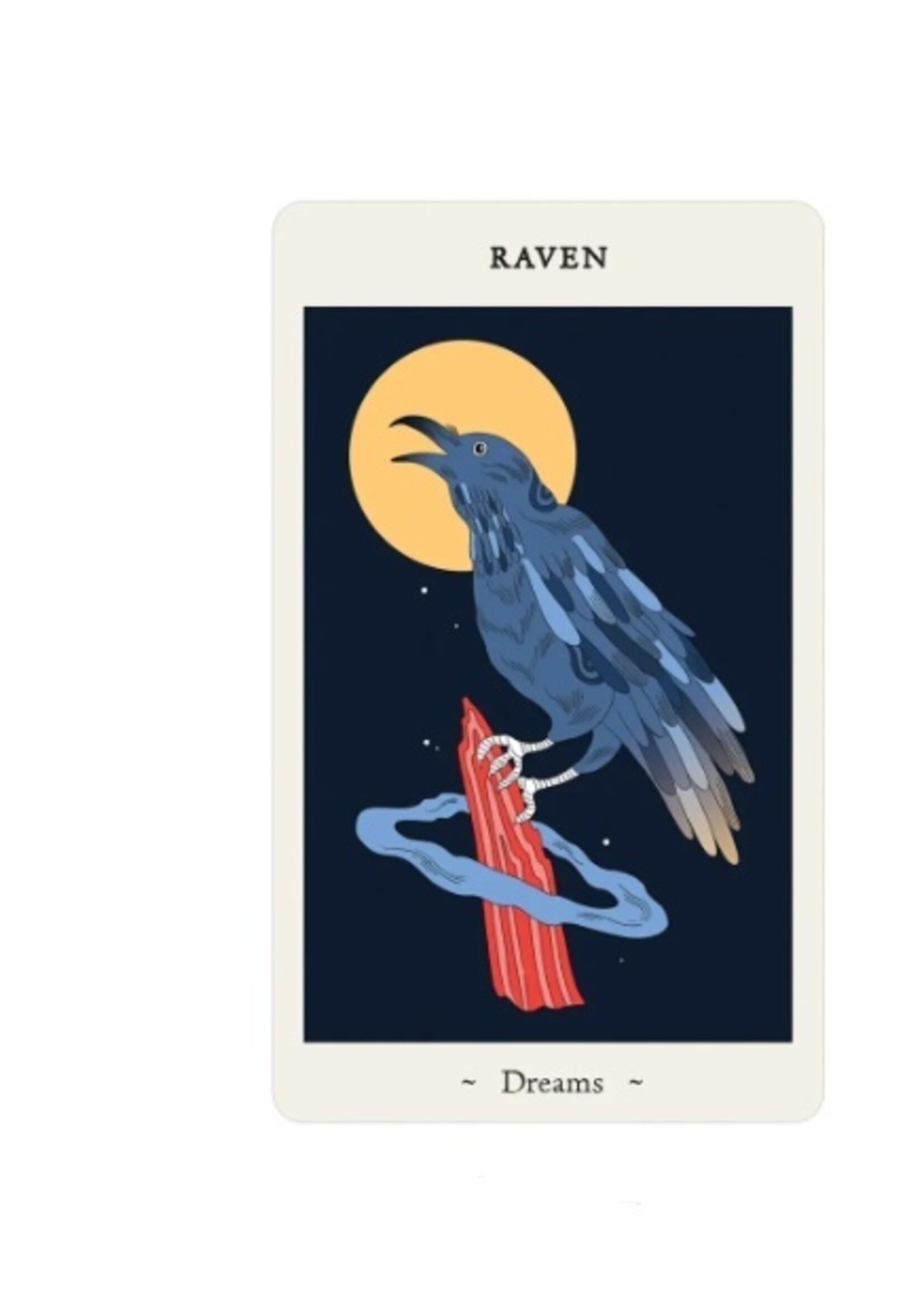 Oracle of Novice Witches 50-Card Deck & Book