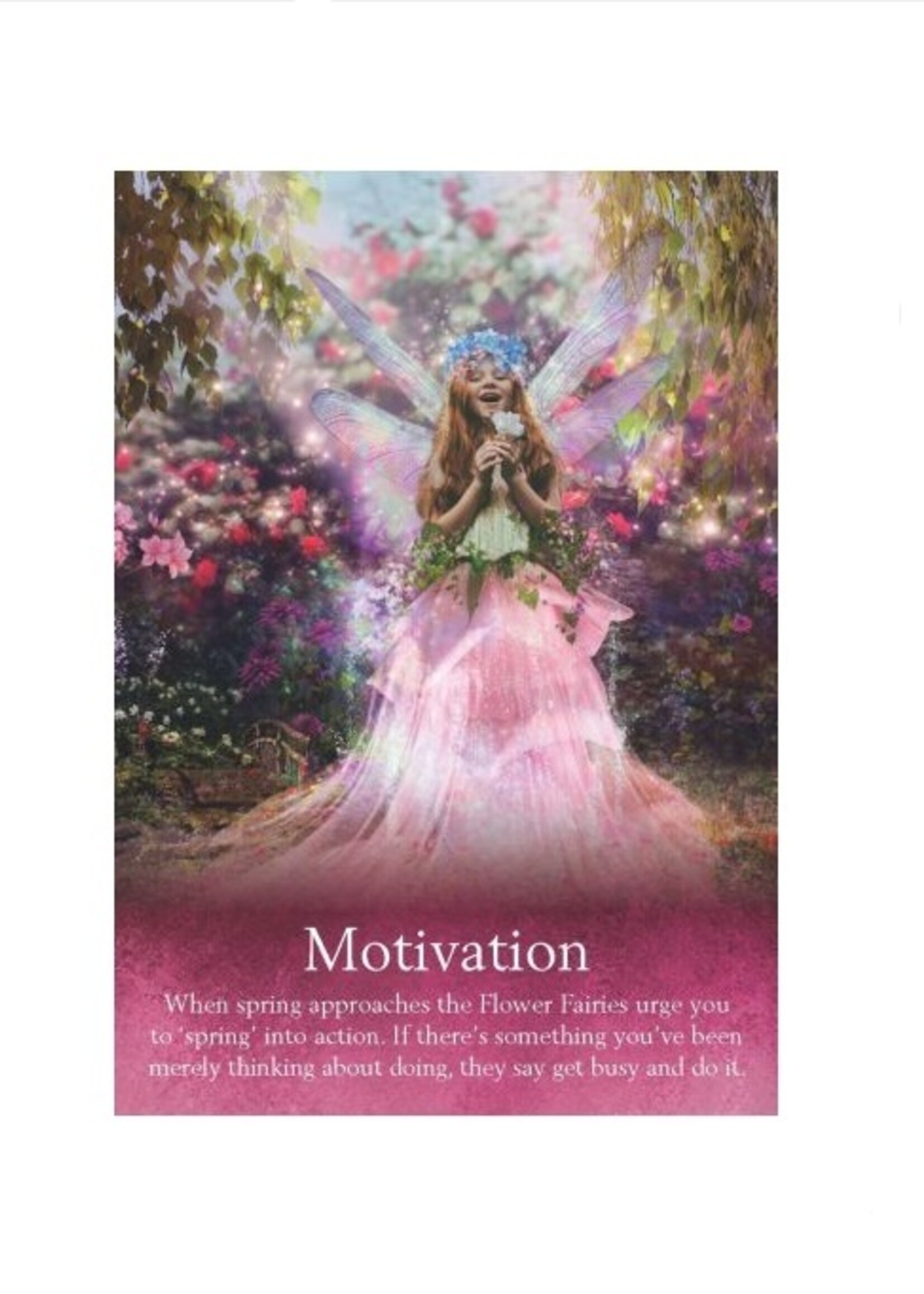 Oracle of the Fairies 44-Card Deck & Book