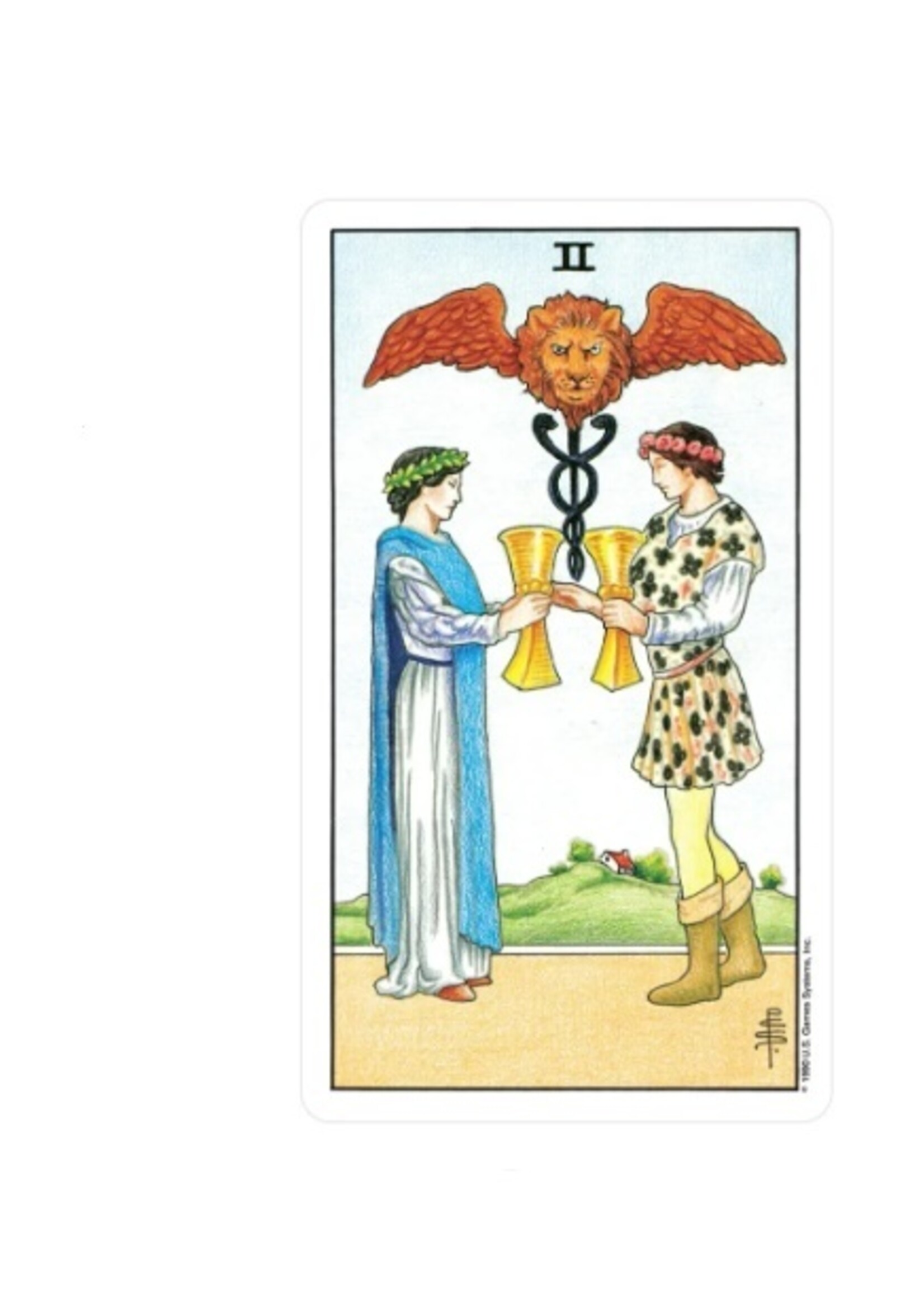 Universal Waite® Pocket Tarot 78-Card Deck & Book