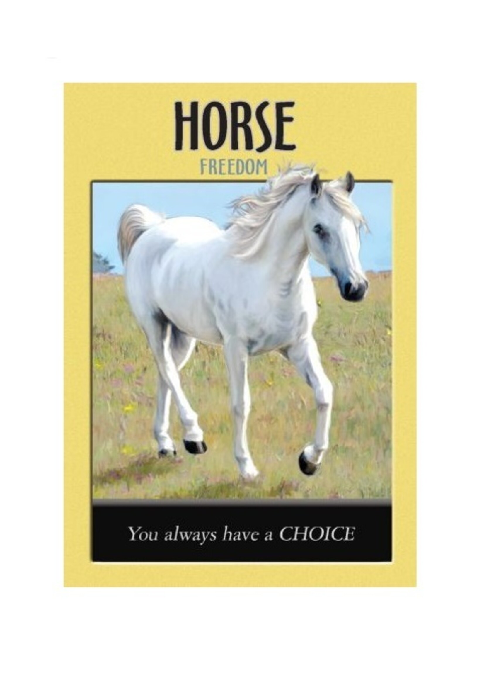 Power Animal Oracle Cards 44-Card Deck & Book