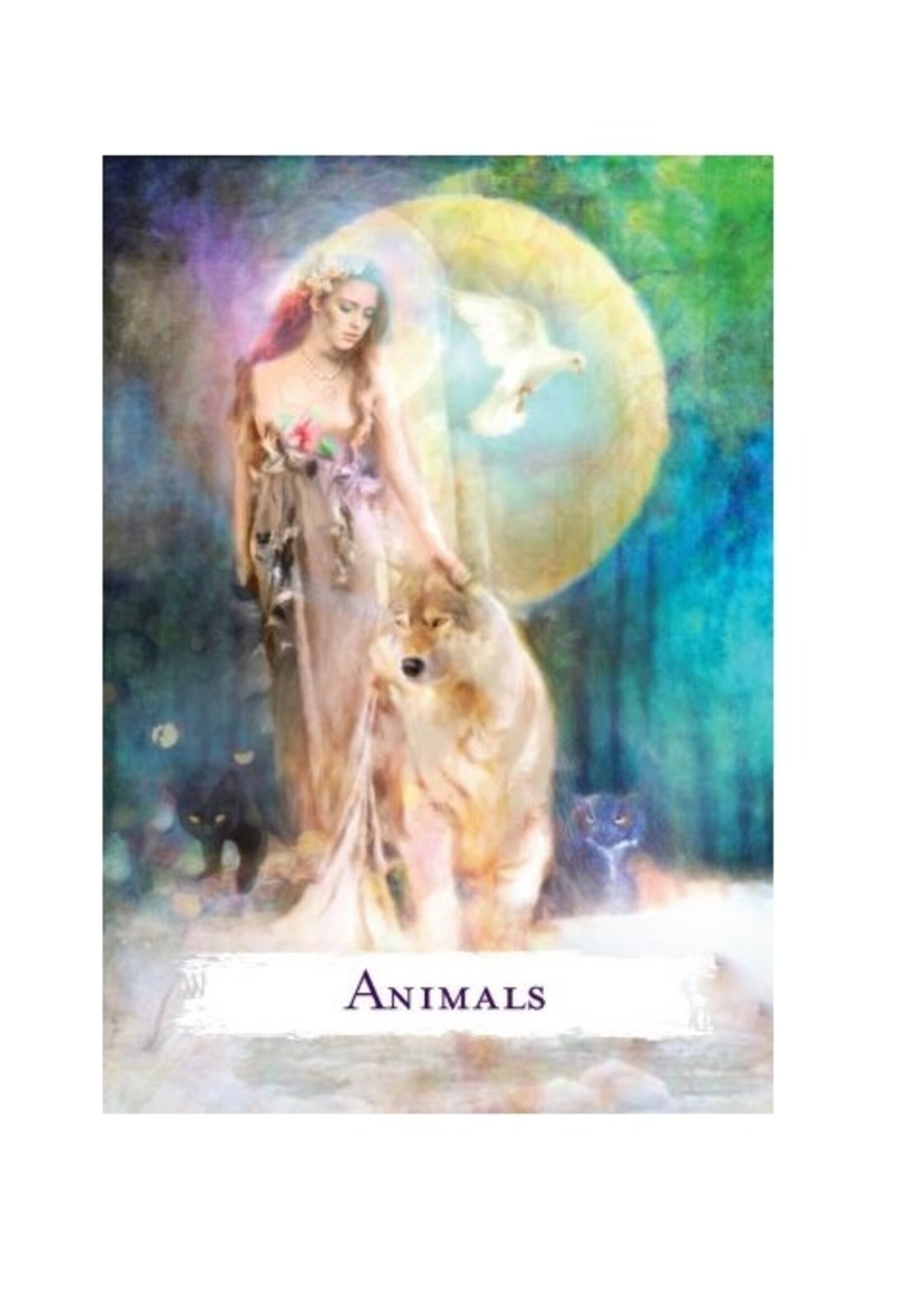Spellcasting Oracle Cards 48-Card Deck & Book