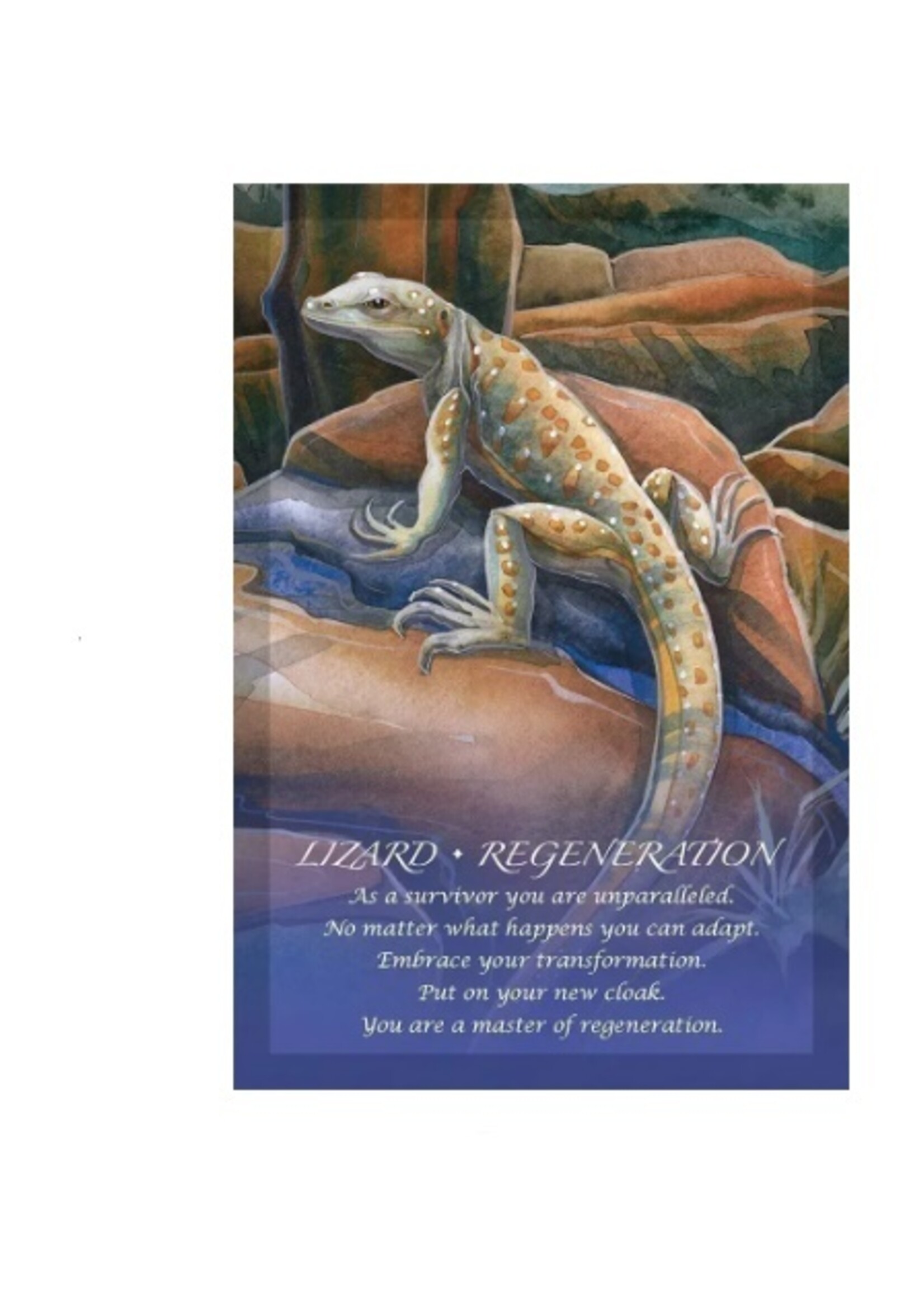Spirit Of The Animals Oracle 51-Card Deck & Book