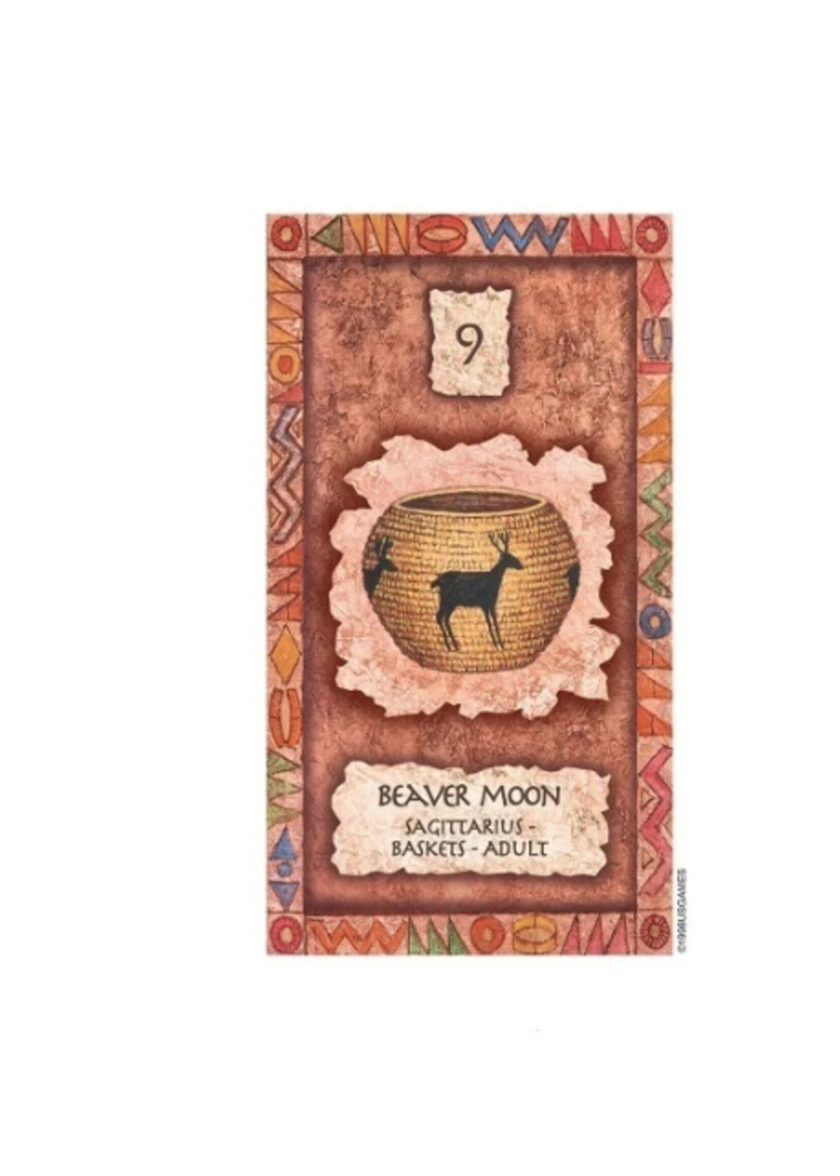 Shaman Wisdom Cards 65-Card Deck & Book