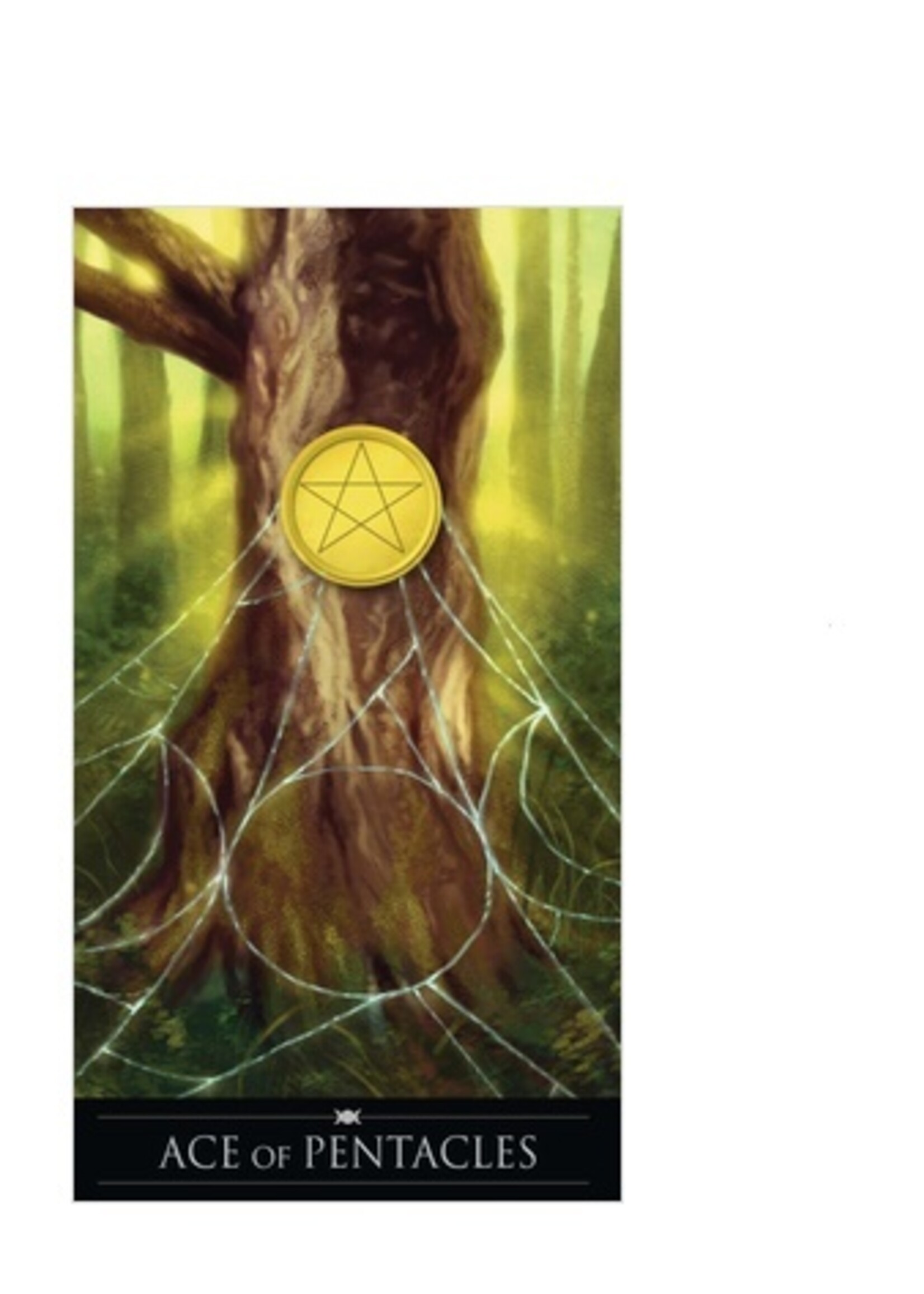 Silver Witchcraft Tarot 78-Card Deck & Book