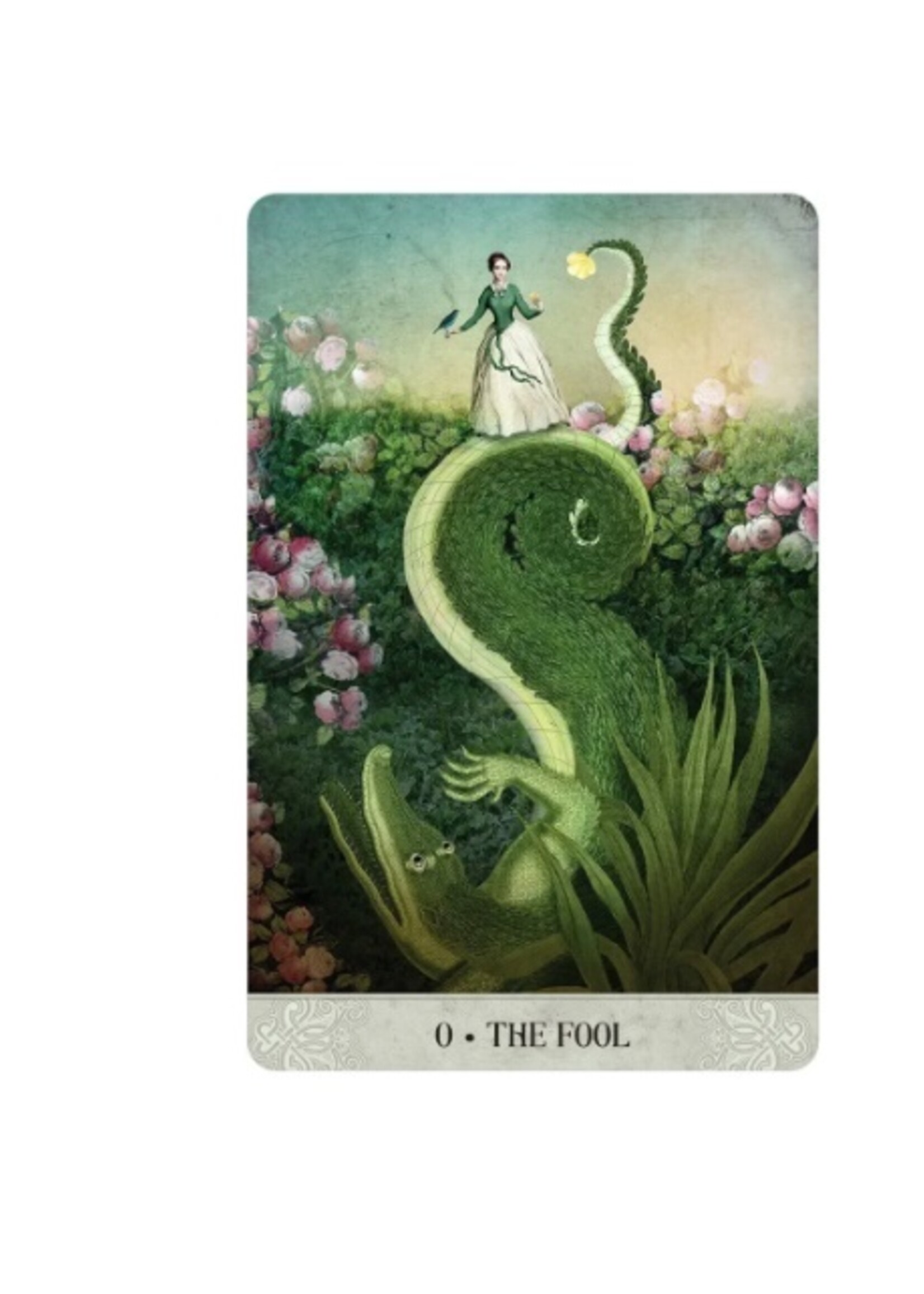 Tarot of Mystical Moments 83-Card Deck & Book