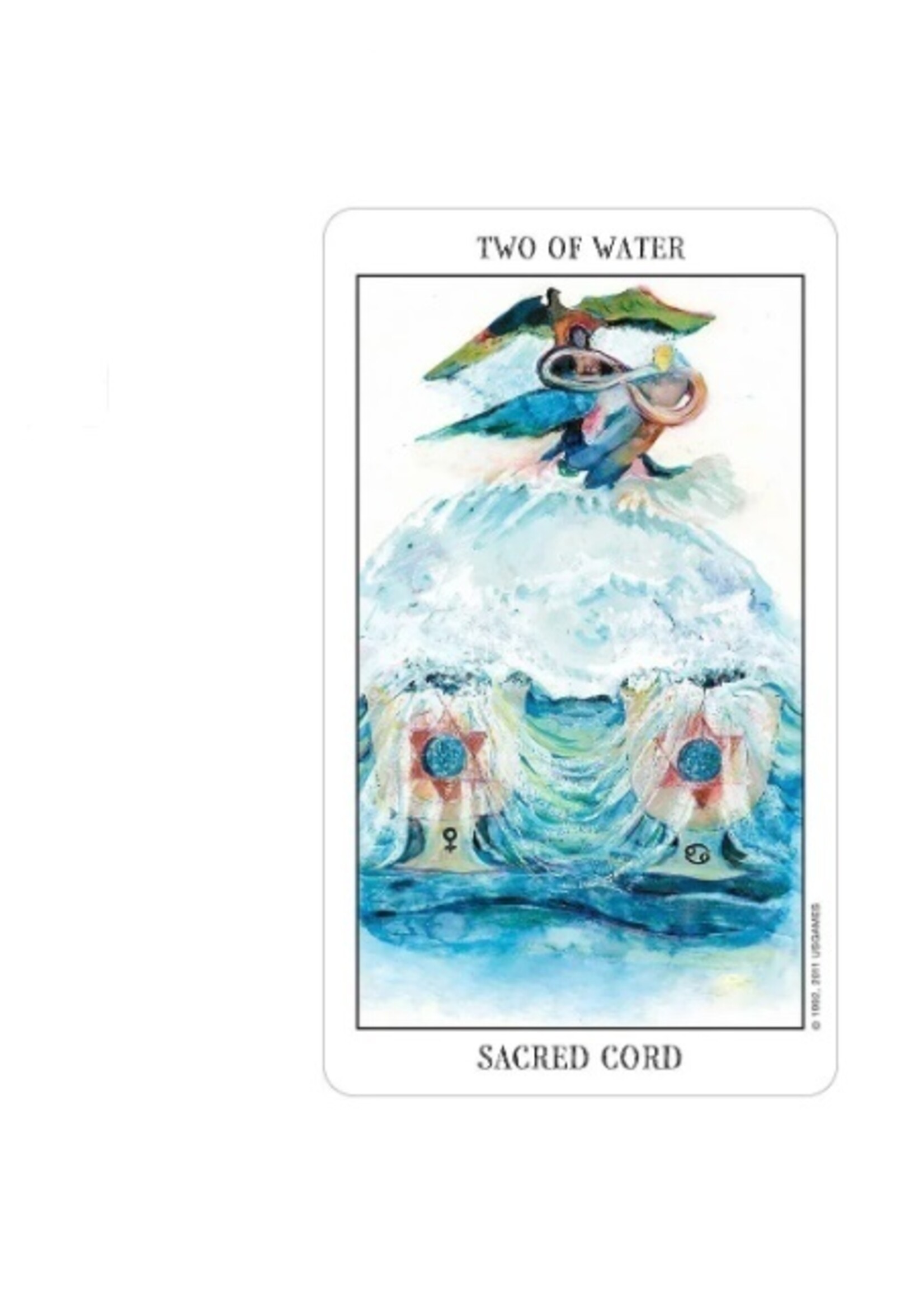 Tarot of the Spirit 80-Card Deck & Book