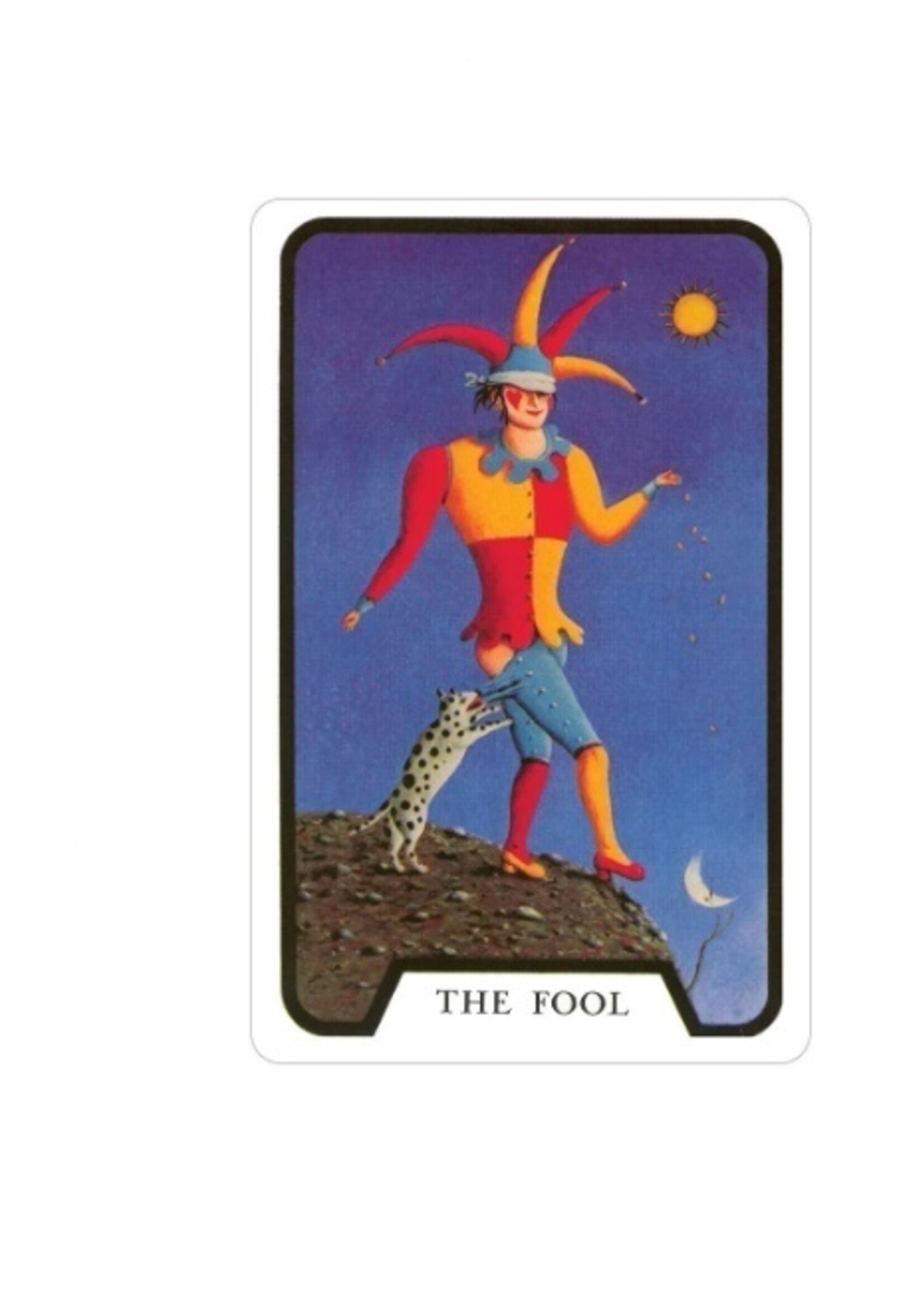 Tarot Of The Witches 78-Card Deck & Book