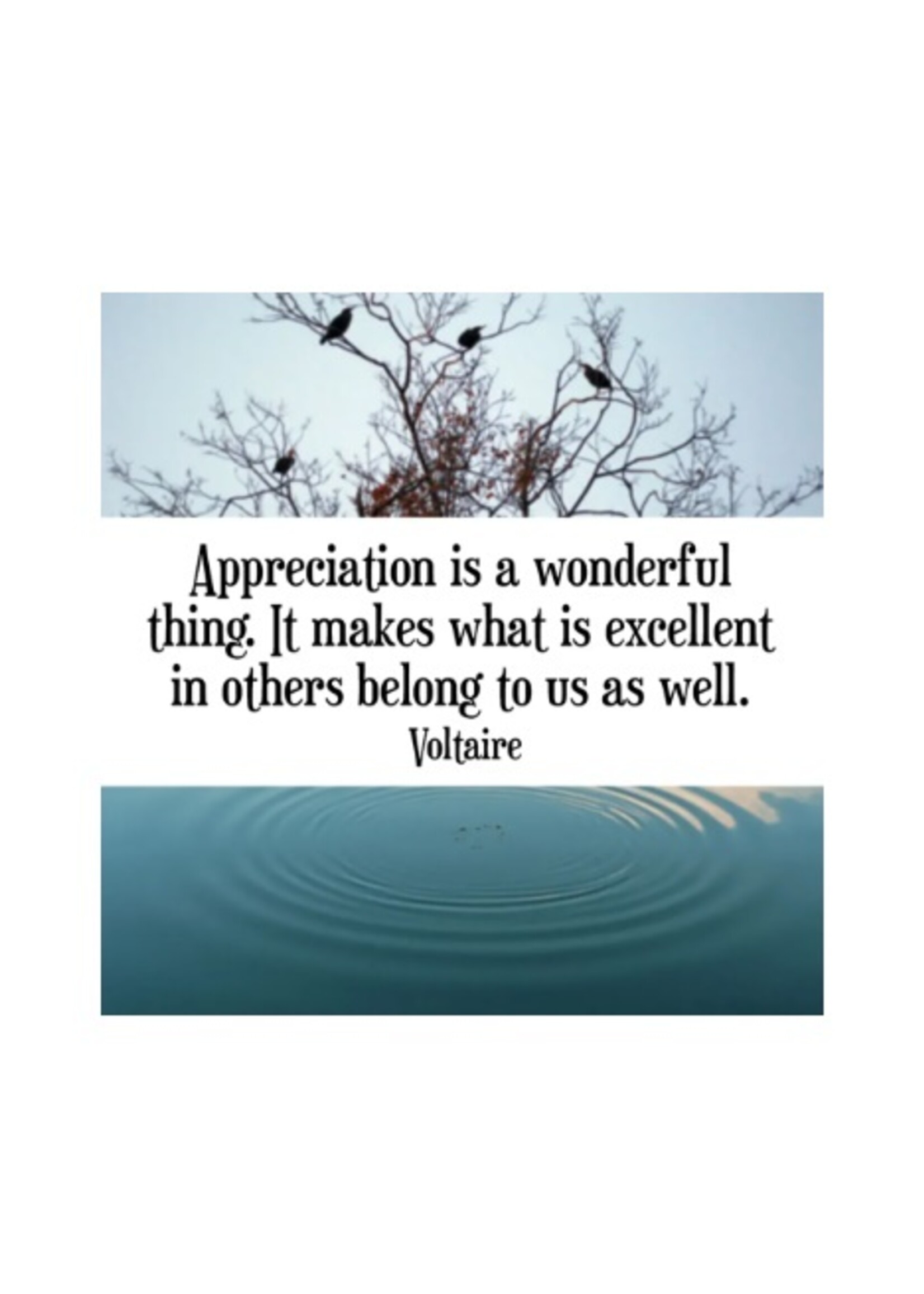 Thank You Notes 60-Card Deck & Book