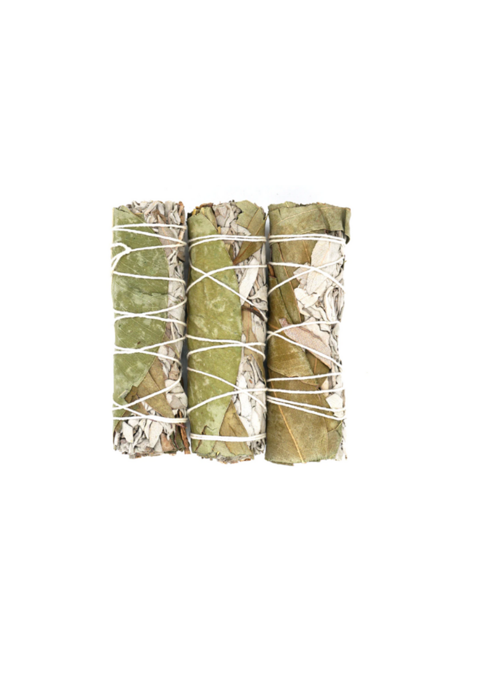 Eucalyptus & White Sage  Bundle