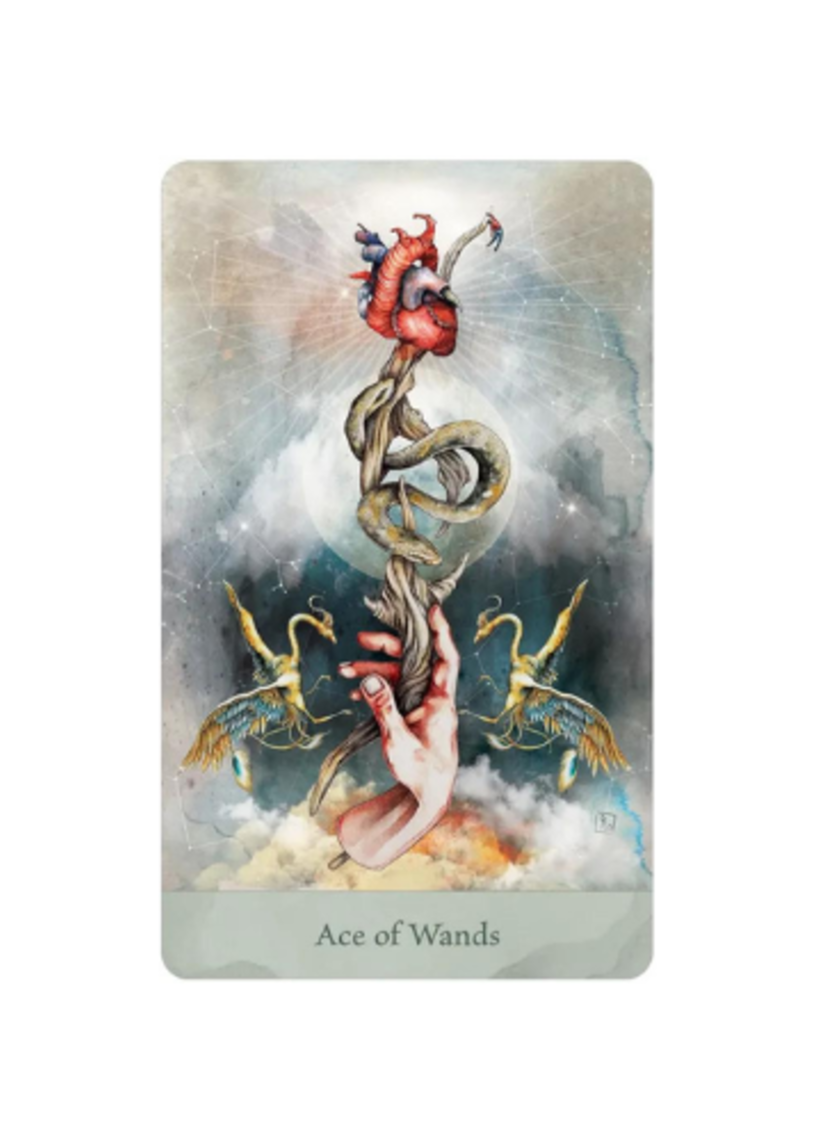 Lorenzi Tarot 78 Card Deck & Book