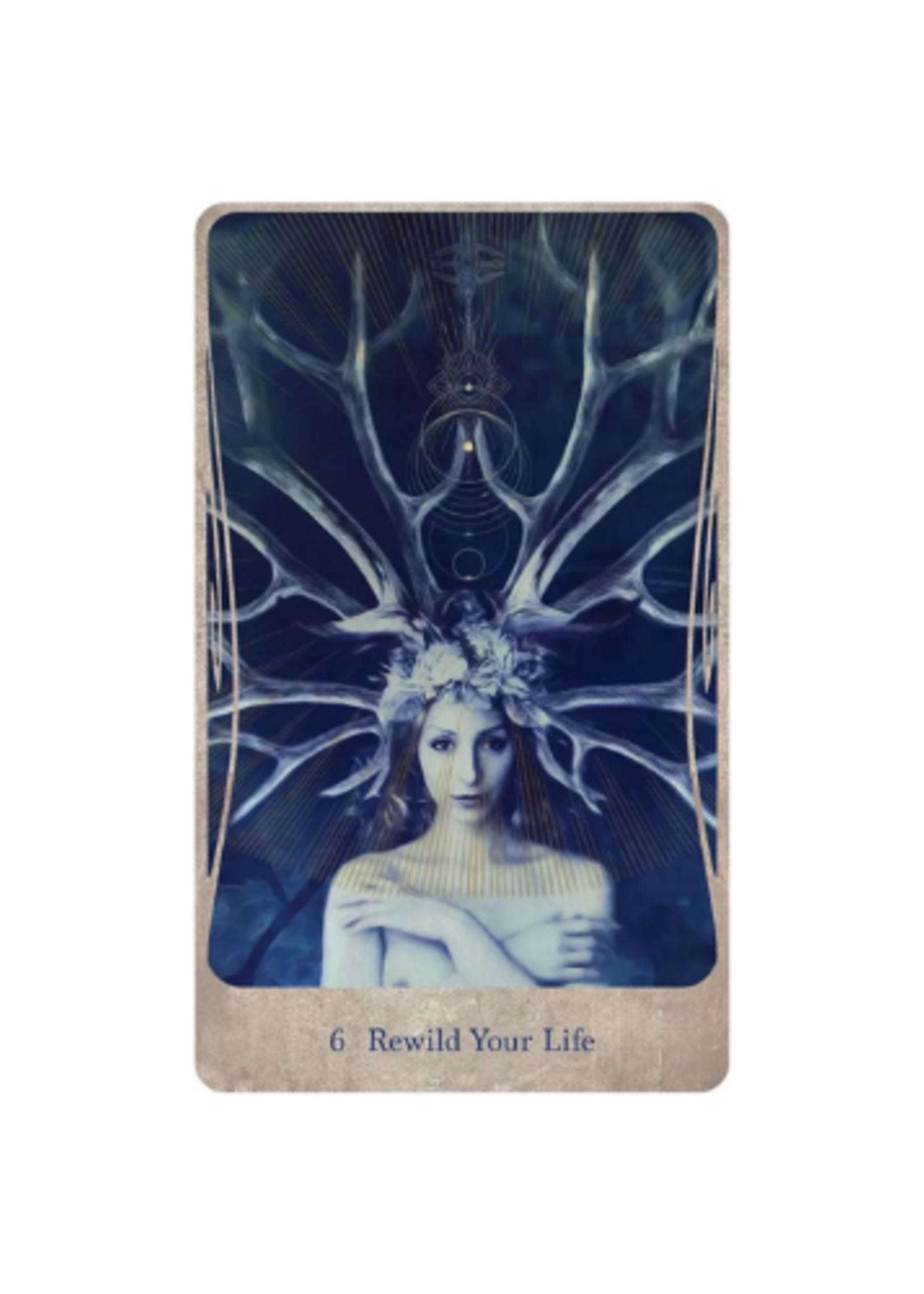 Divine Nature Oracle 44-Card Deck & Book