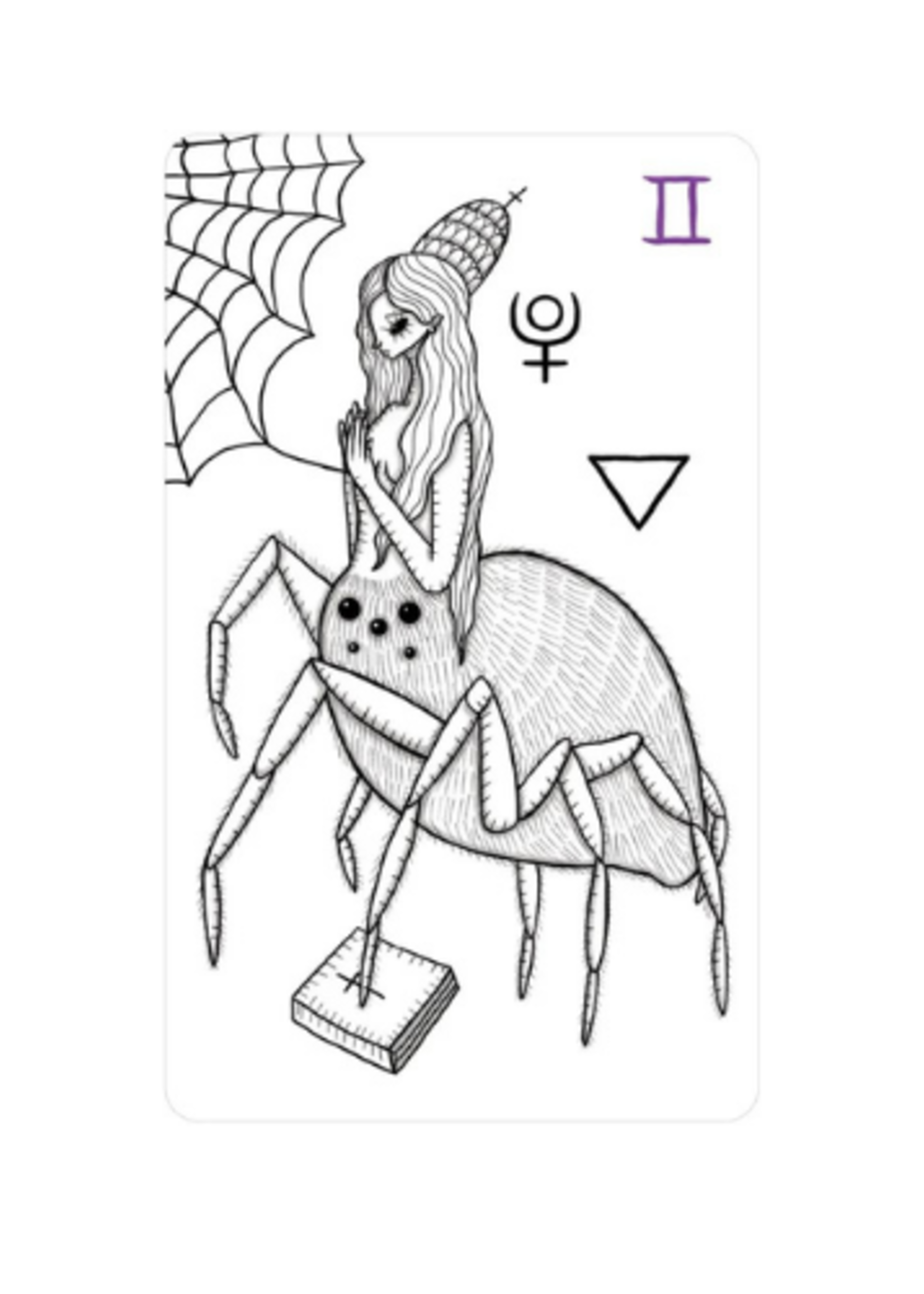 Medieval Mischief Tarot 78-Card Deck & Book