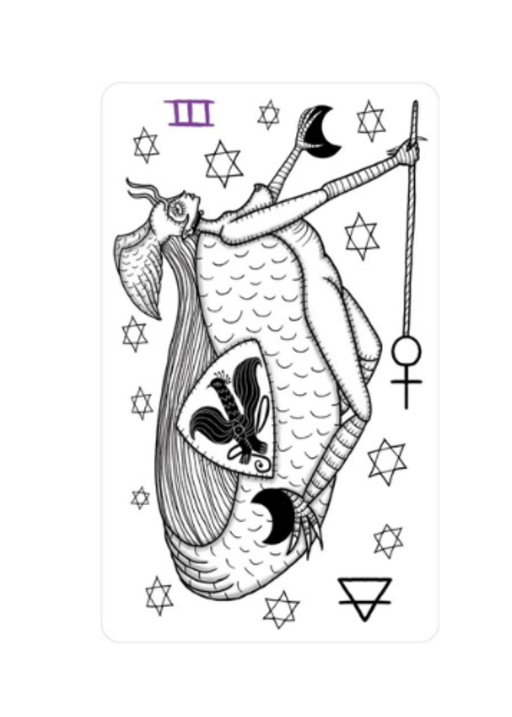 Medieval Mischief Tarot 78-Card Deck & Book