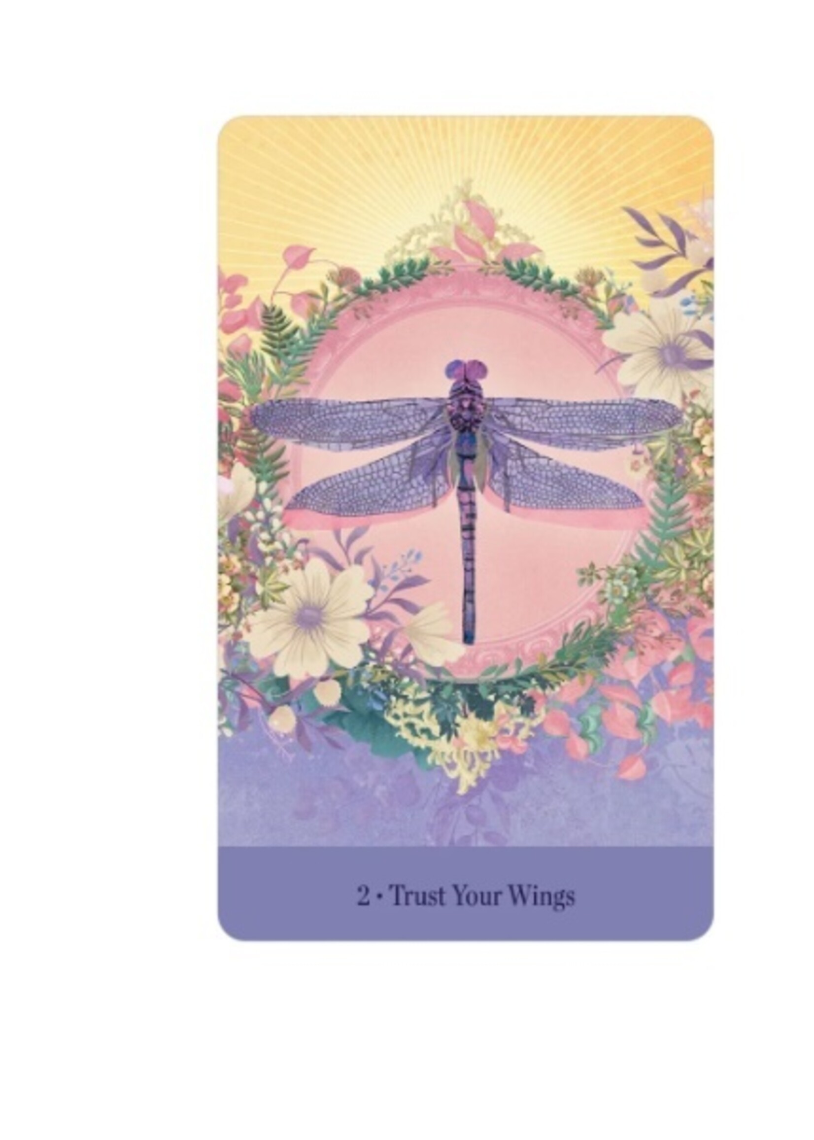 Love Who You Are 44-Card Deck & Book