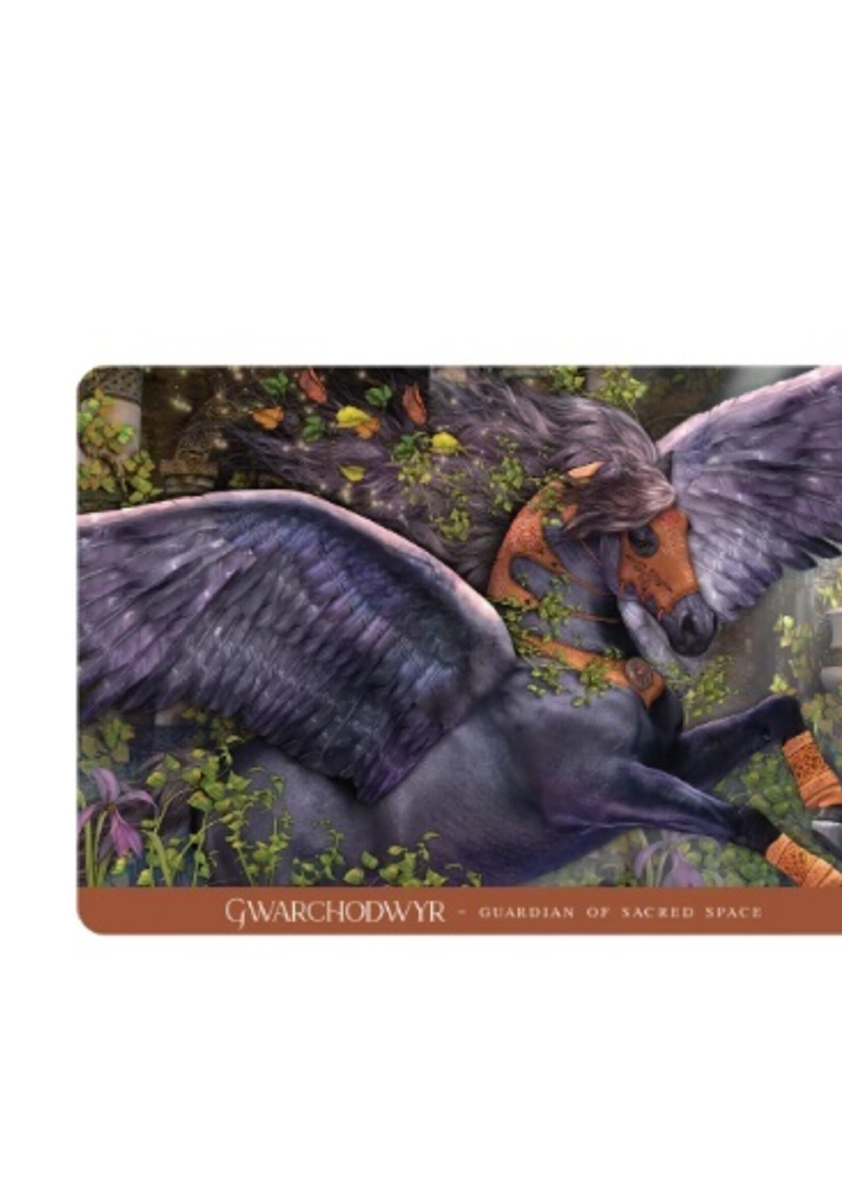 Oracle of The Sacred Horse 41-Card Deck & Book