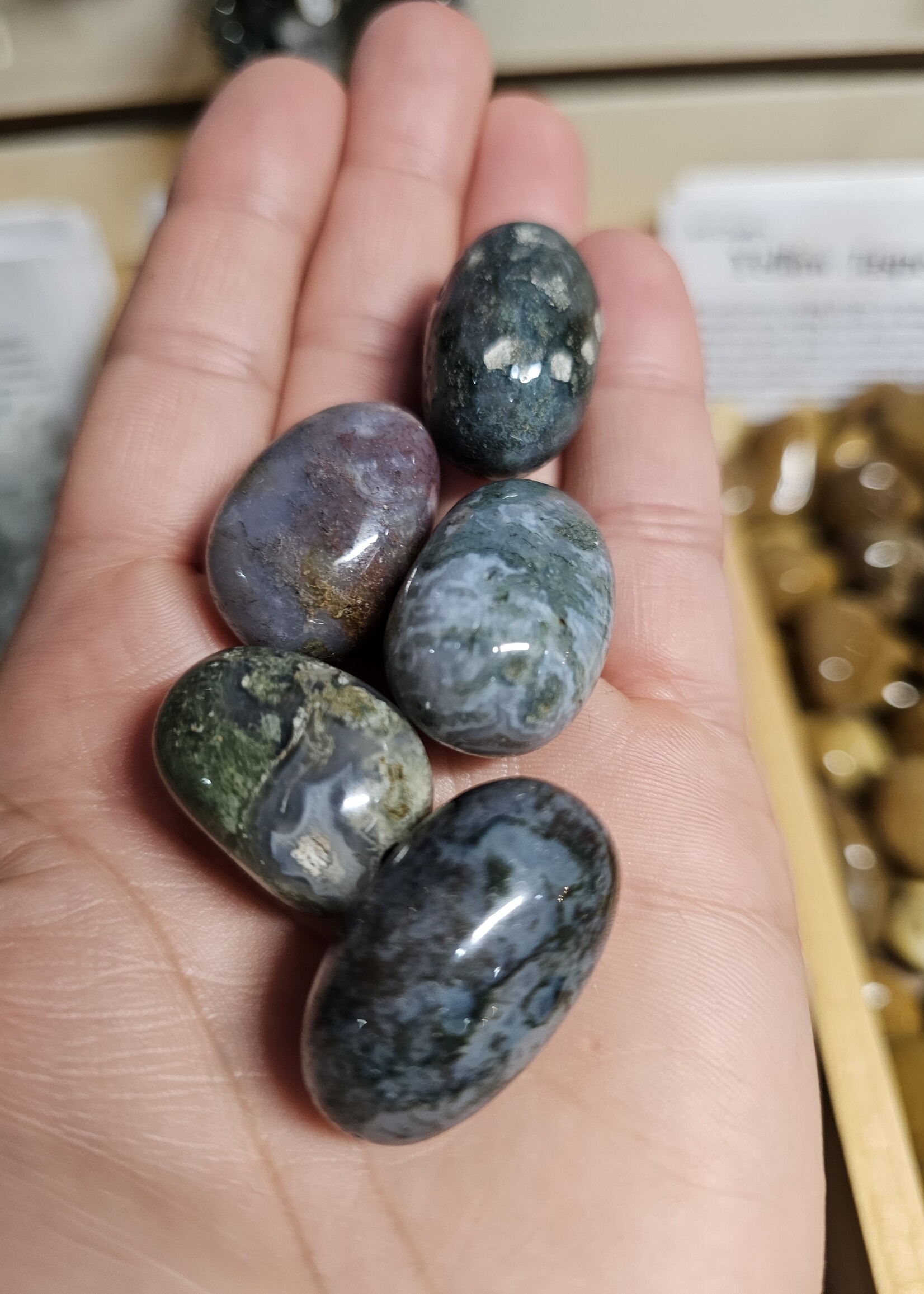 Moss Agate Tumbled, Medium