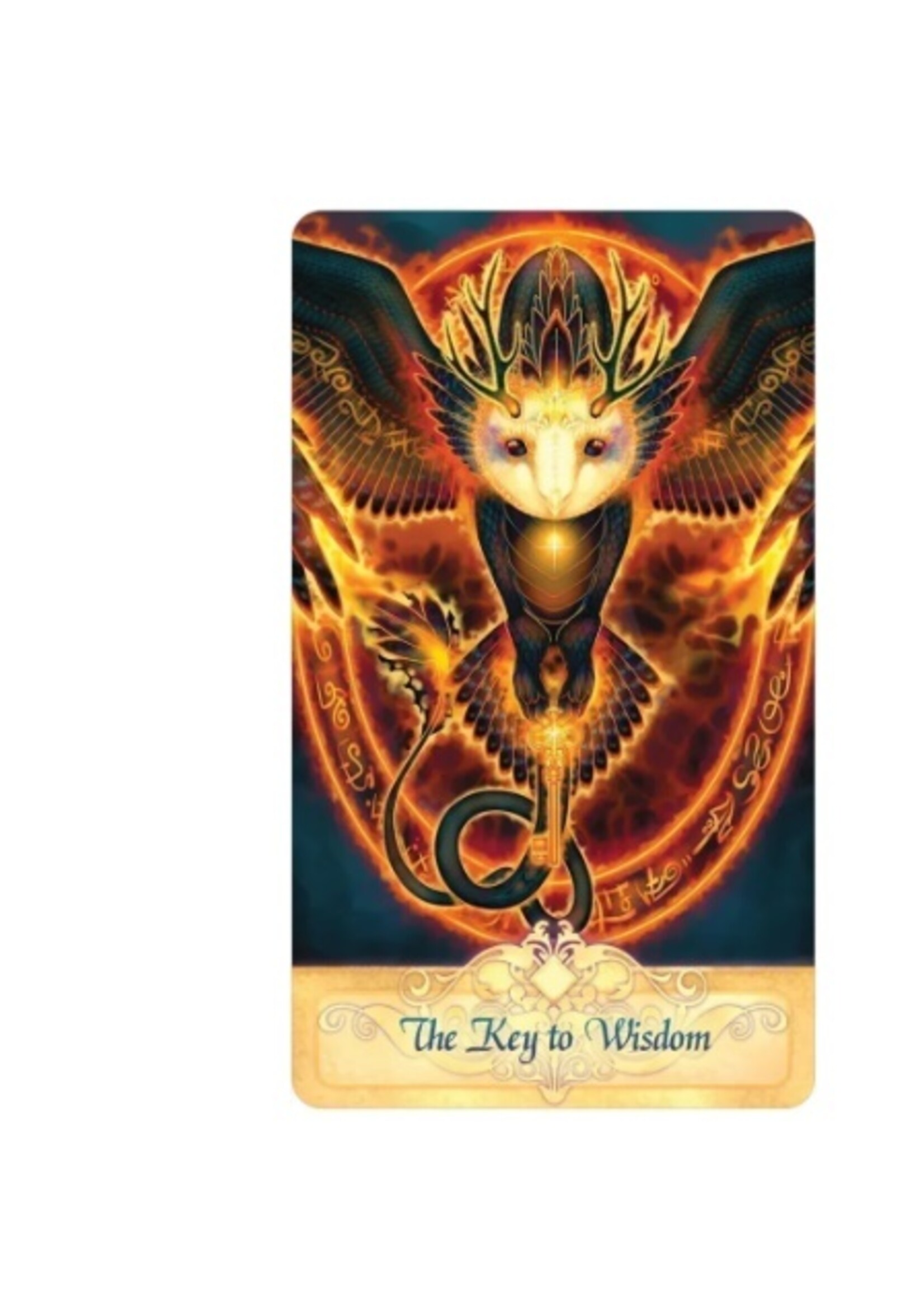 Seeker Oracle 55-Card Deck & Book