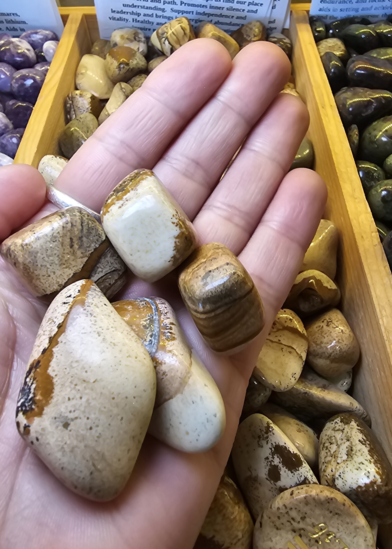 Picture Jasper Tumbled, Medium