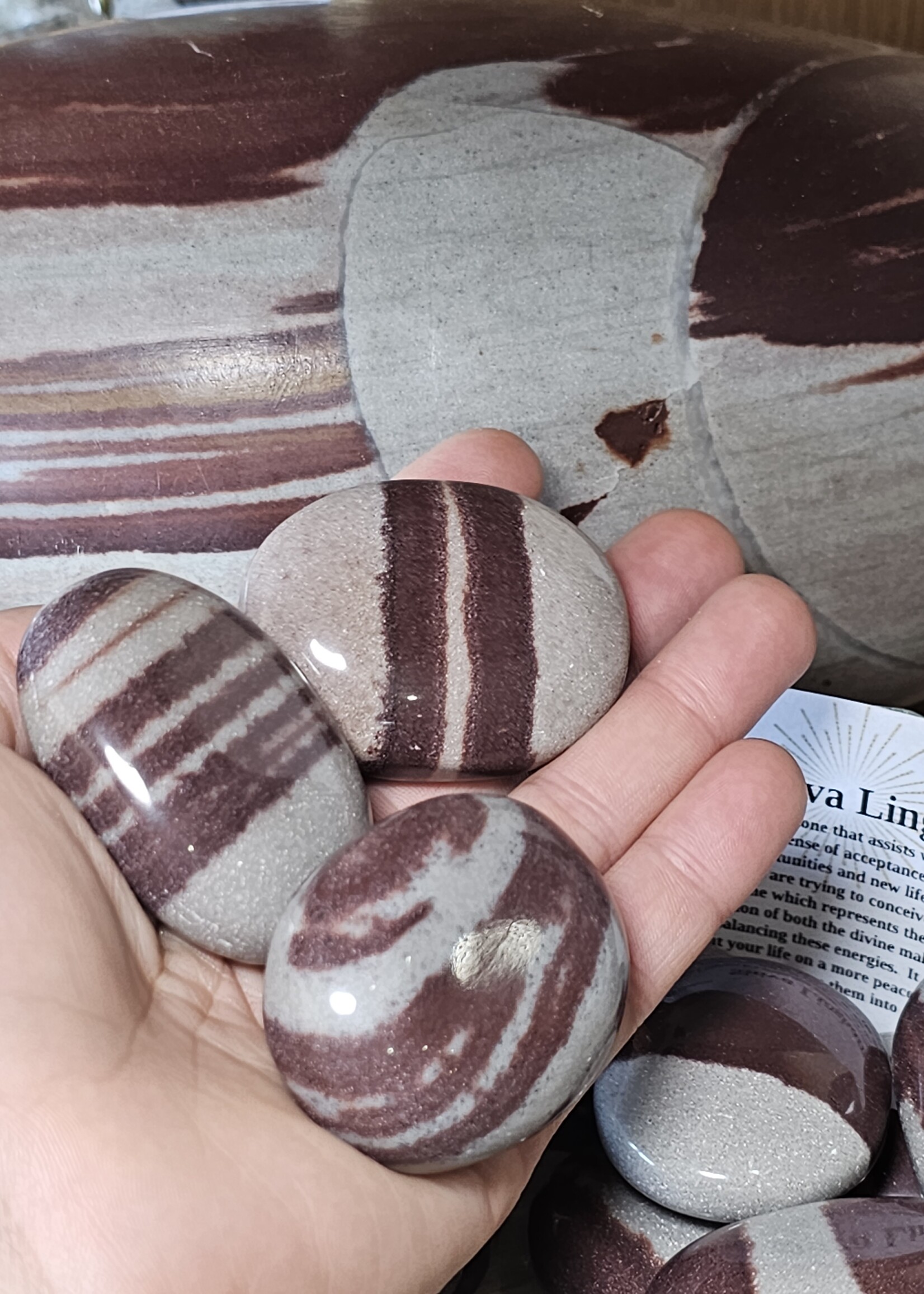 Shiva Lingam Palm Stone 1.5" x 2"