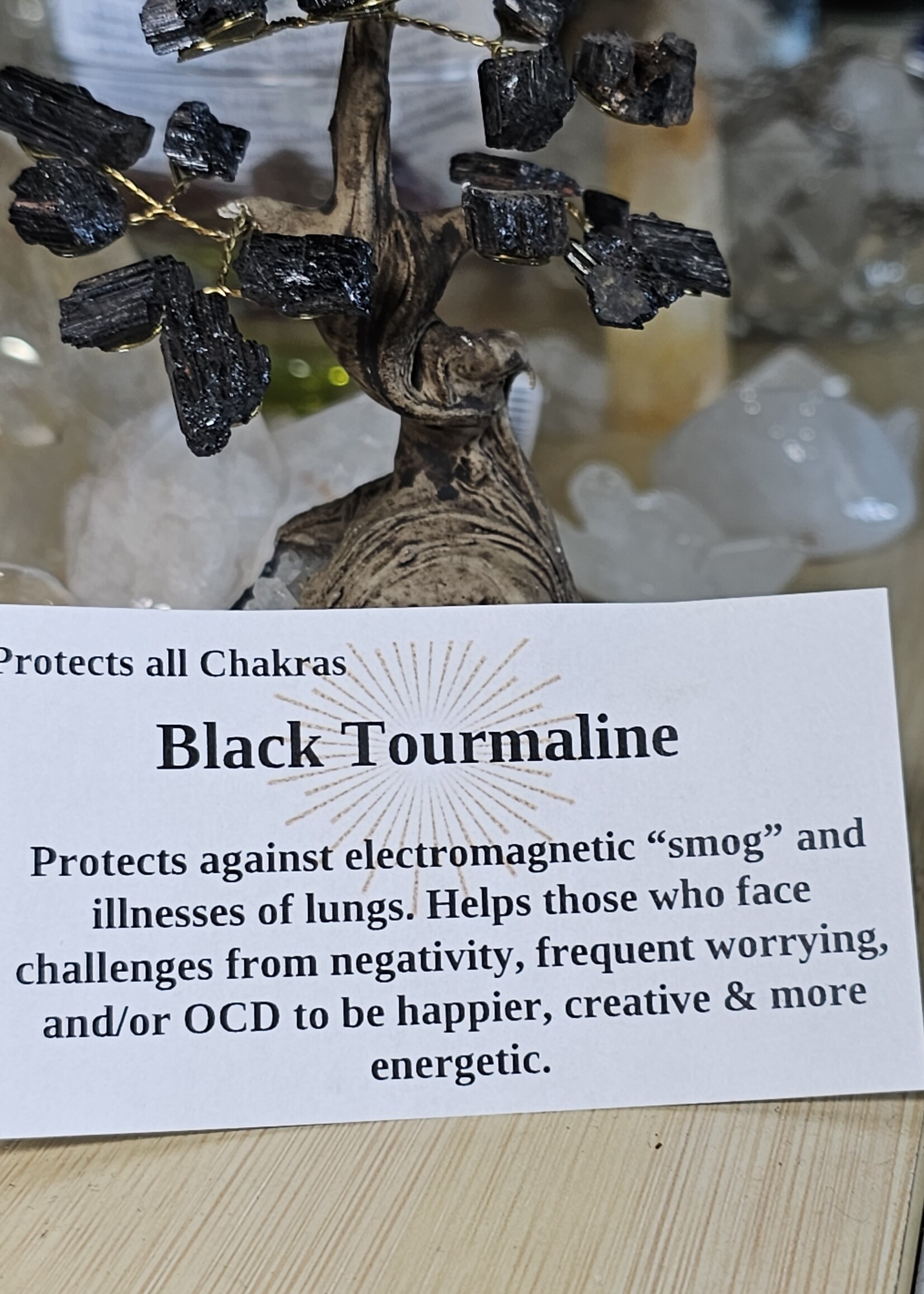 Black Tourmaline Bonsai Tree on Amethyst Base H5"x D1.5"