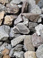 Dinosaur Bone 1" x 0.5"