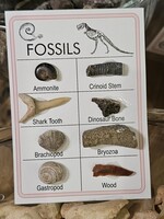 Fossil Card
