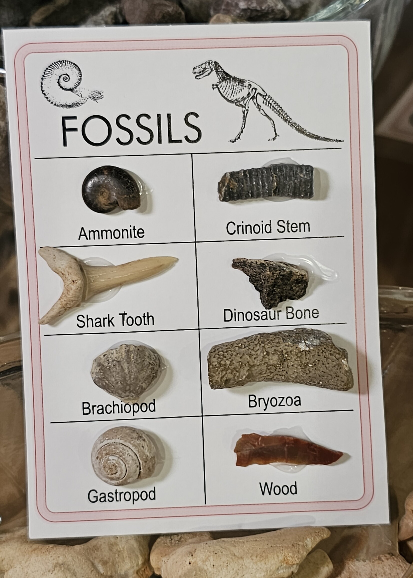 Fossil Card