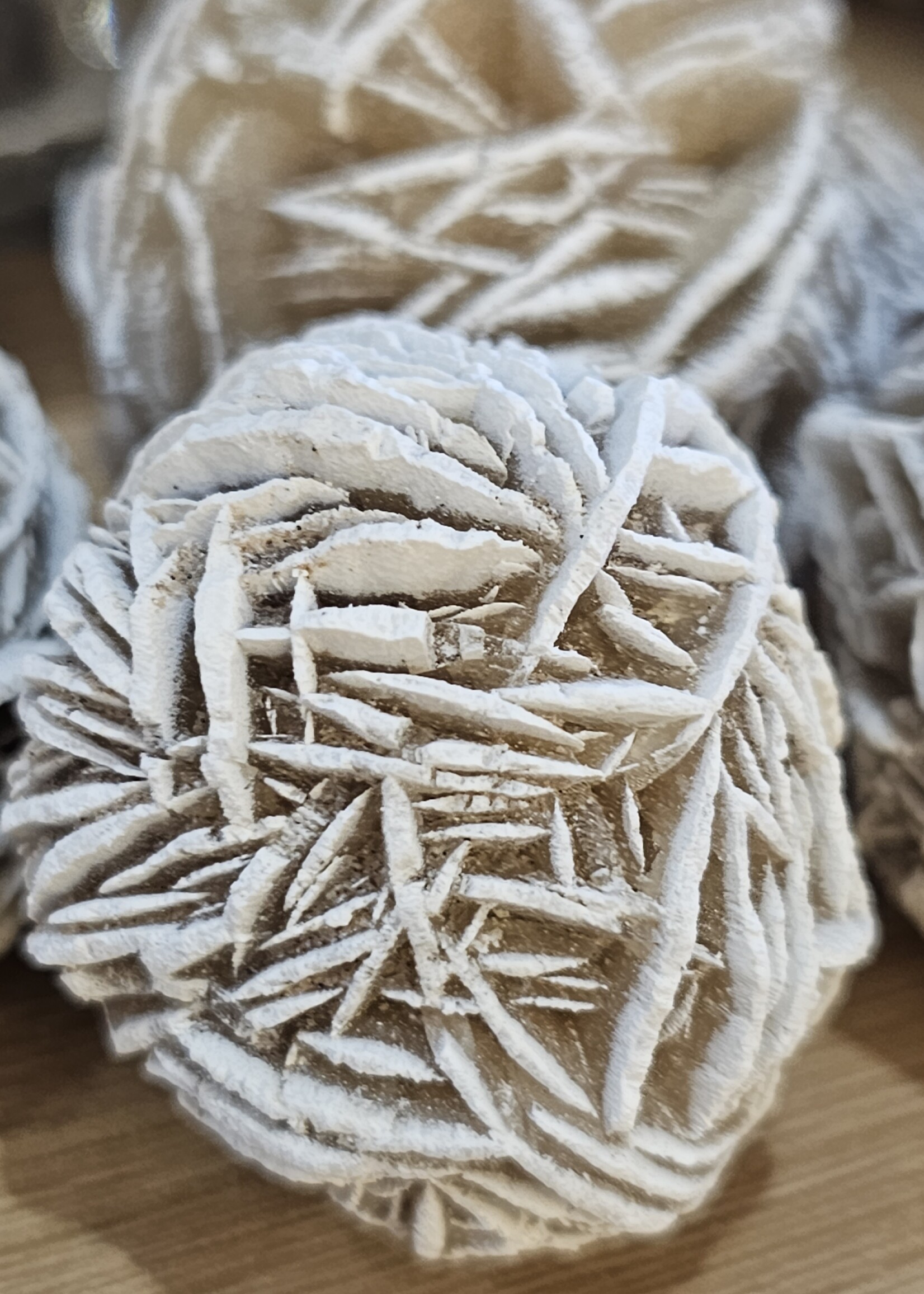 Desert Rose Natural Medium 1.5"