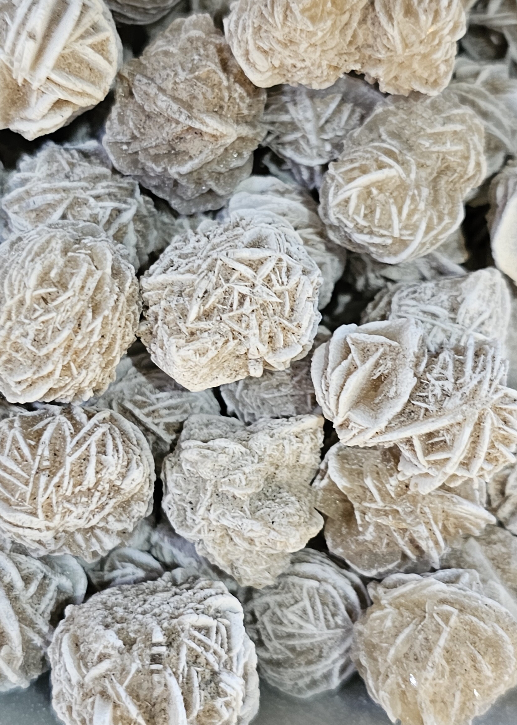 Desert Rose Natural Small under 1"