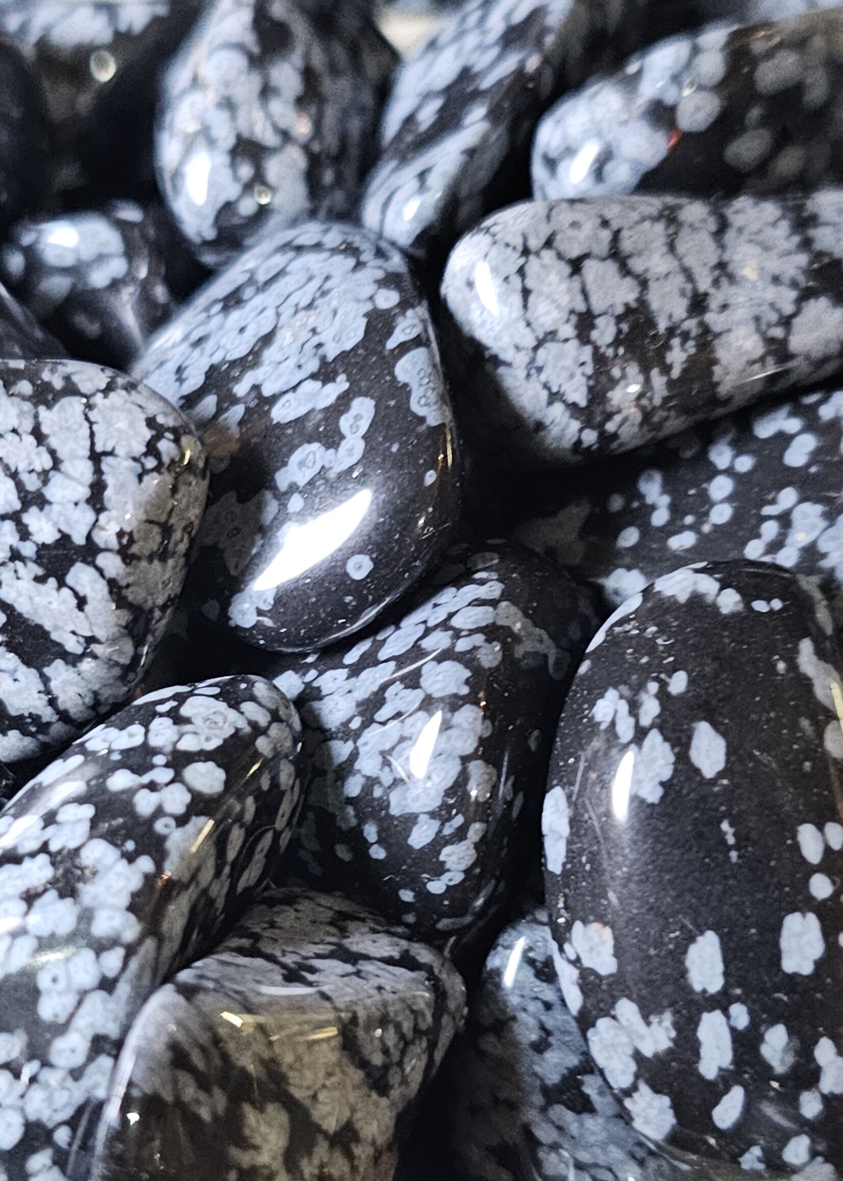 Snowflake Obsidian Tumbled, Medium