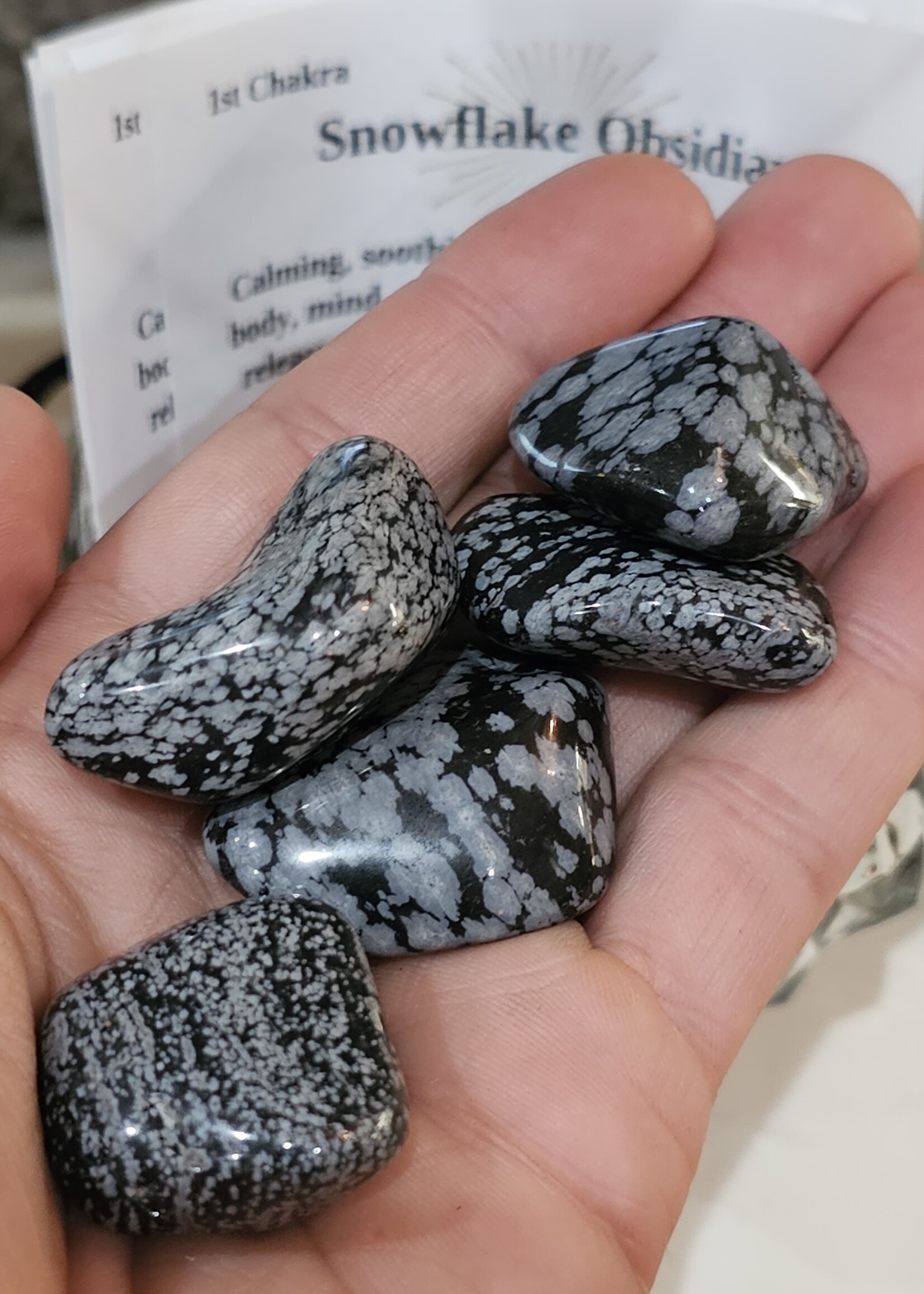 Snowflake Obsidian Tumbled, Medium
