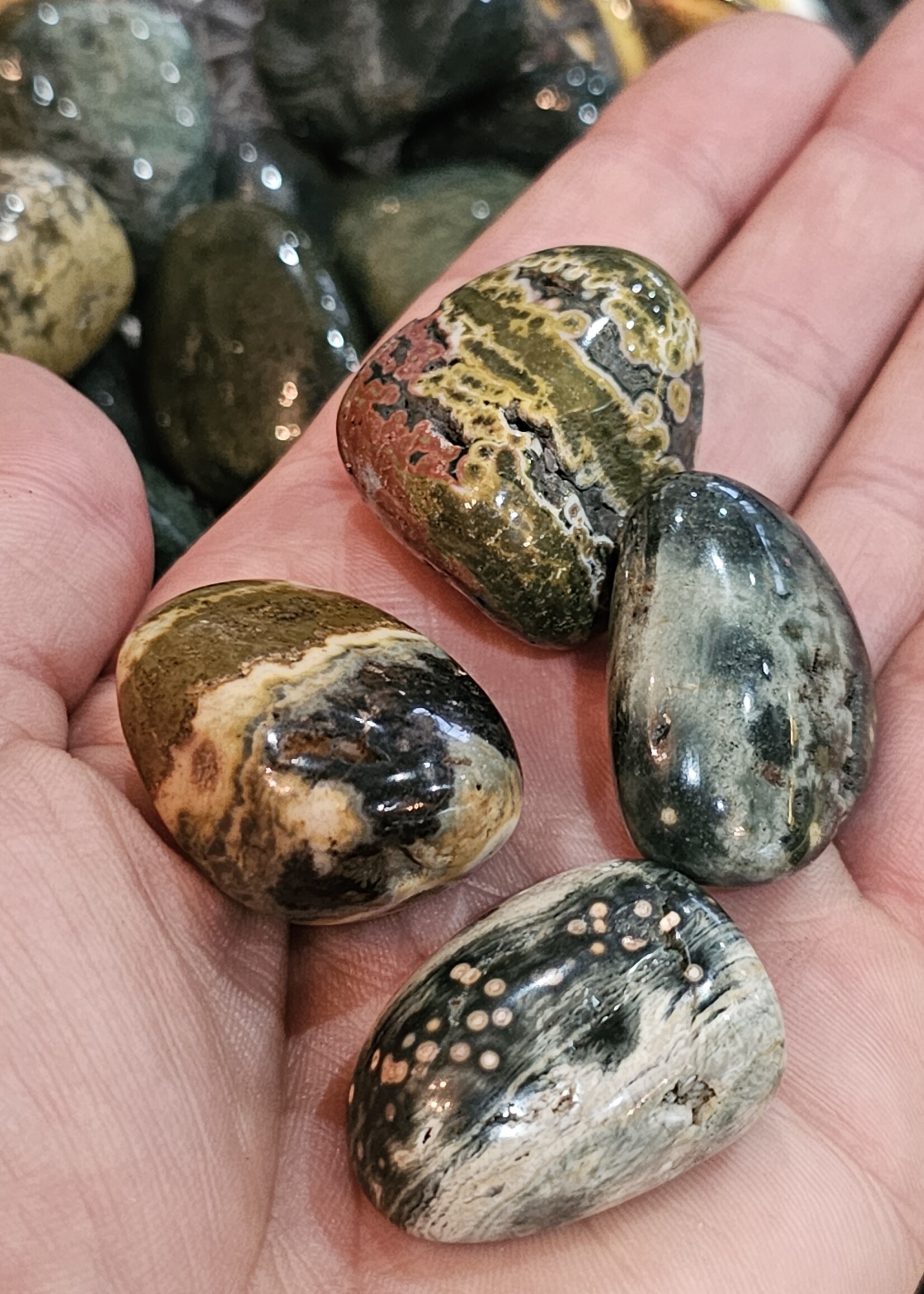 Ocean Jasper Tumbled