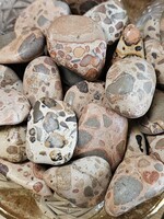 Rhyolite (Brown) Tumbled, Medium