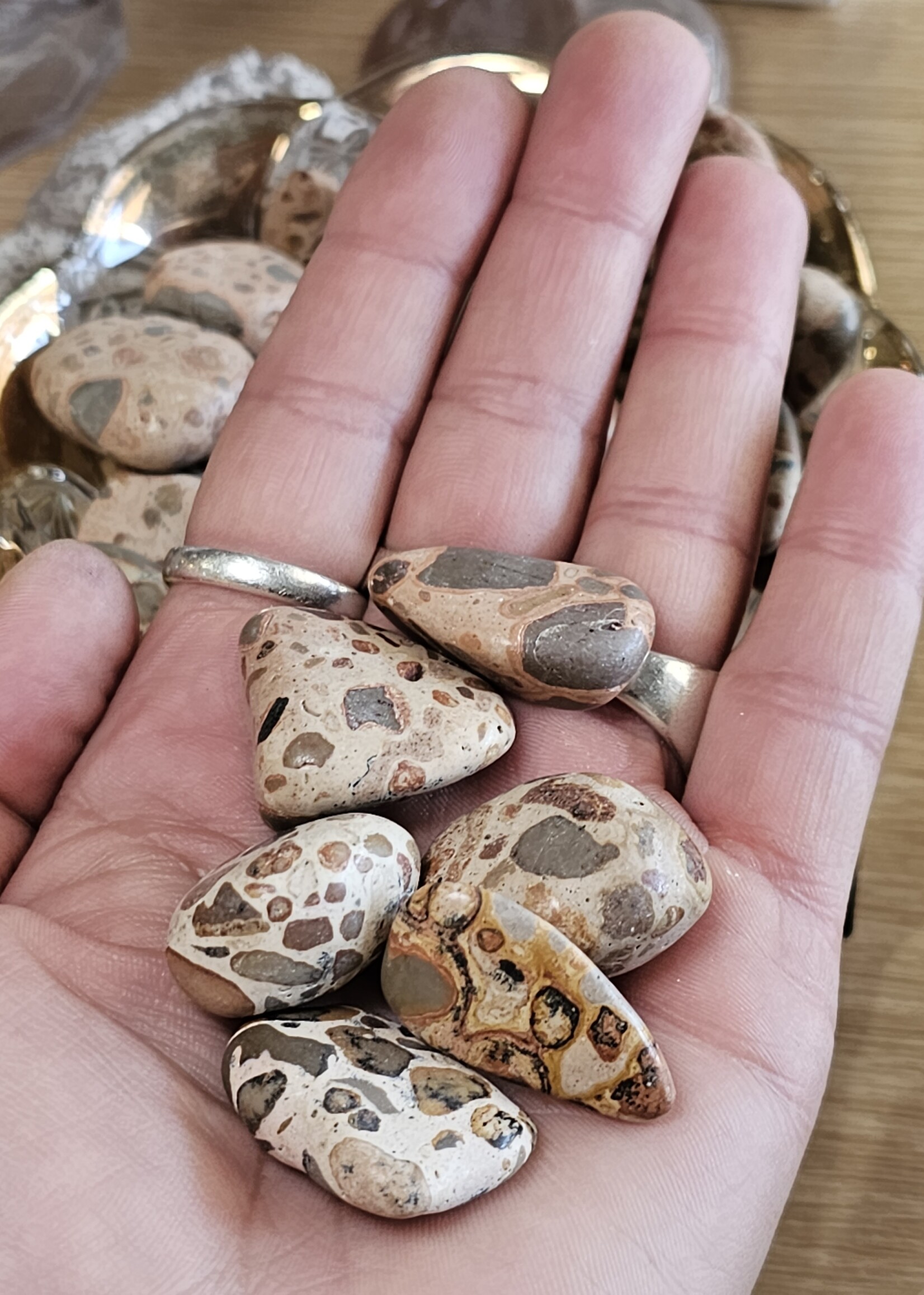 Rhyolite (Brown) Tumbled, Medium
