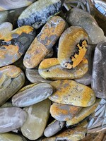 Bumble Bee Jasper Tumbled