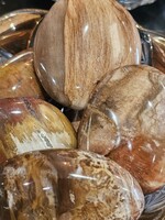 Petrified Wood Palm Stone 2" x 2.5"