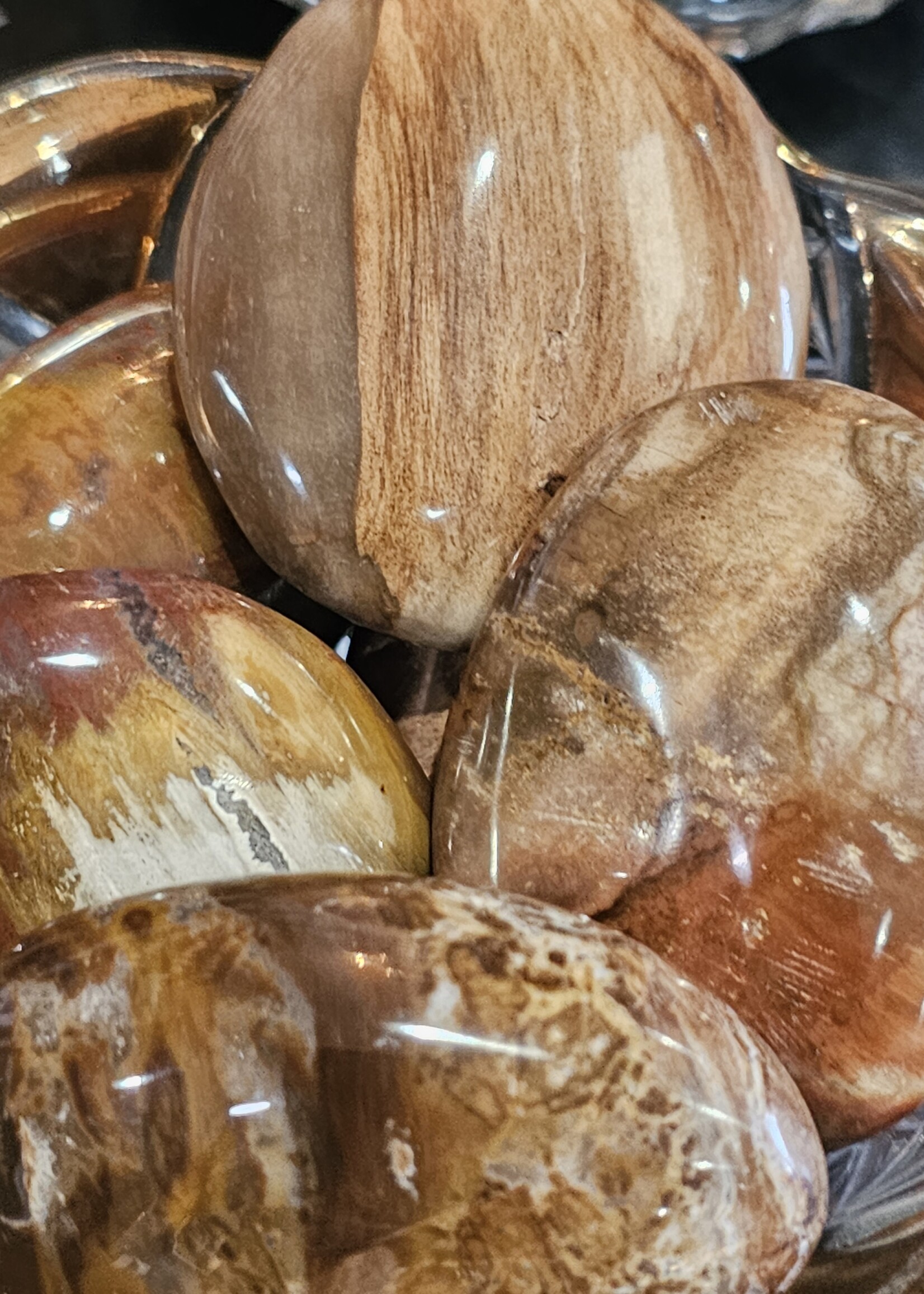 Petrified Wood Palm Stone 2" x 2.5"