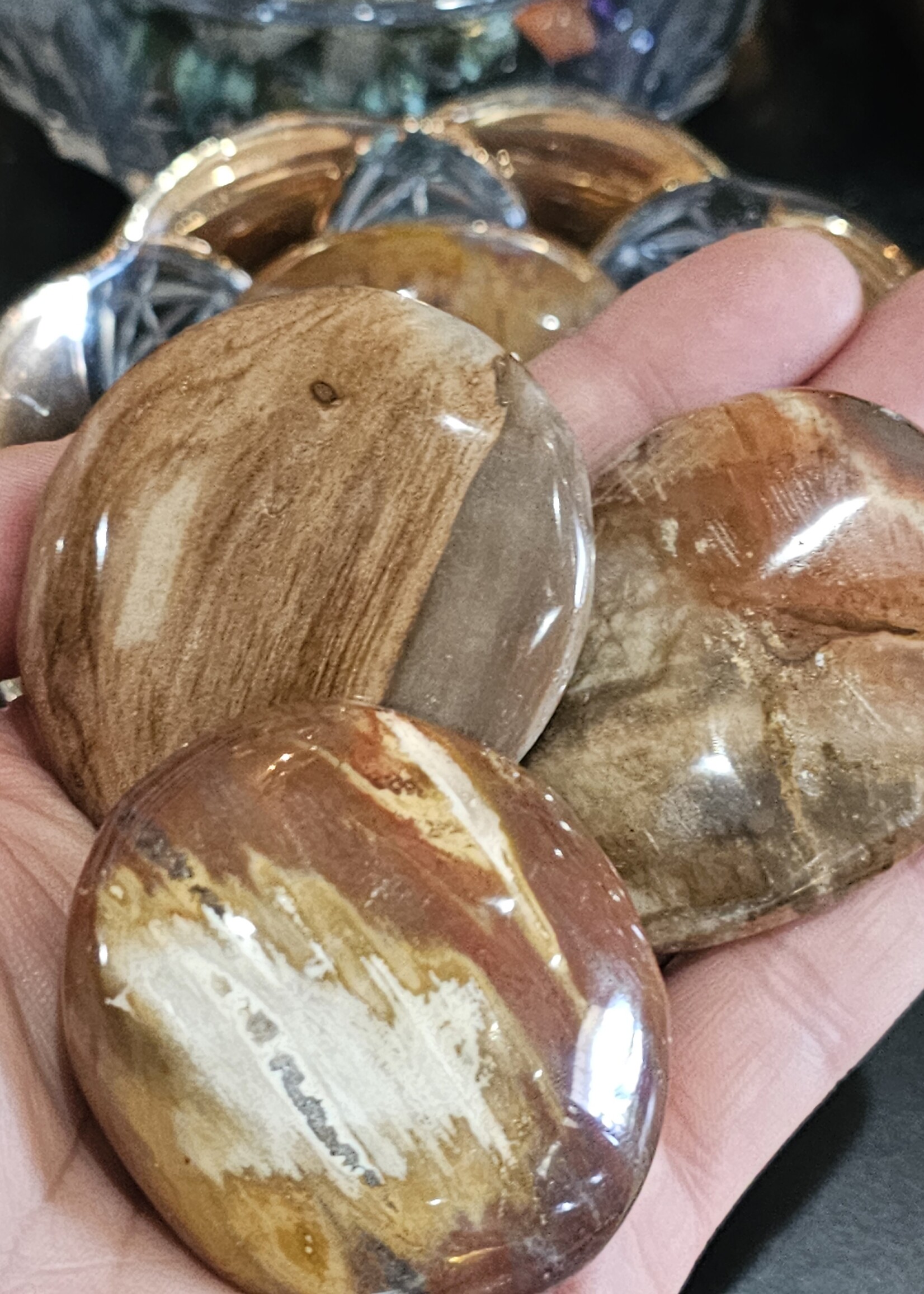 Petrified Wood Palm Stone 2" x 2.5"