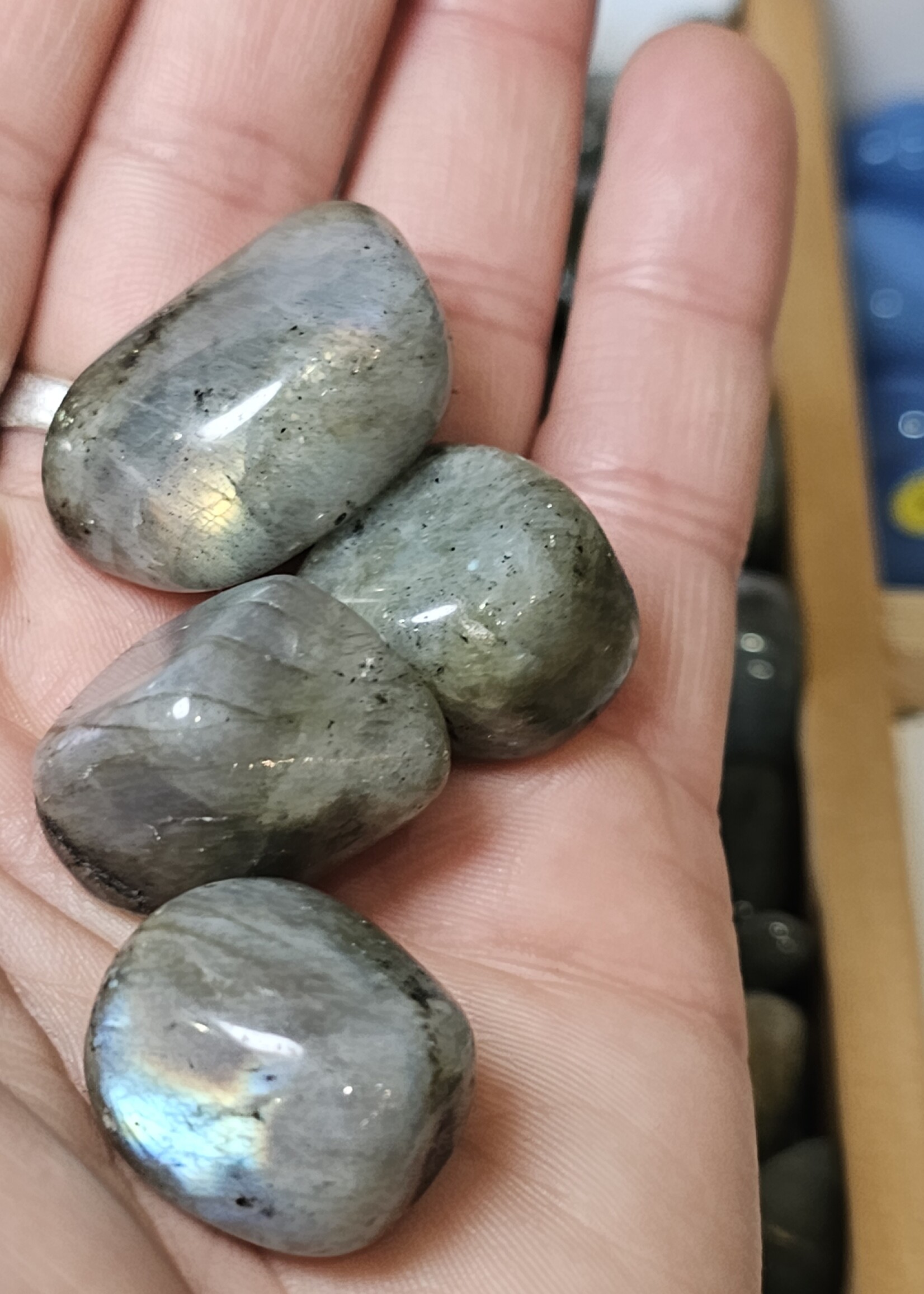 Labradorite,Tumbled Medium
