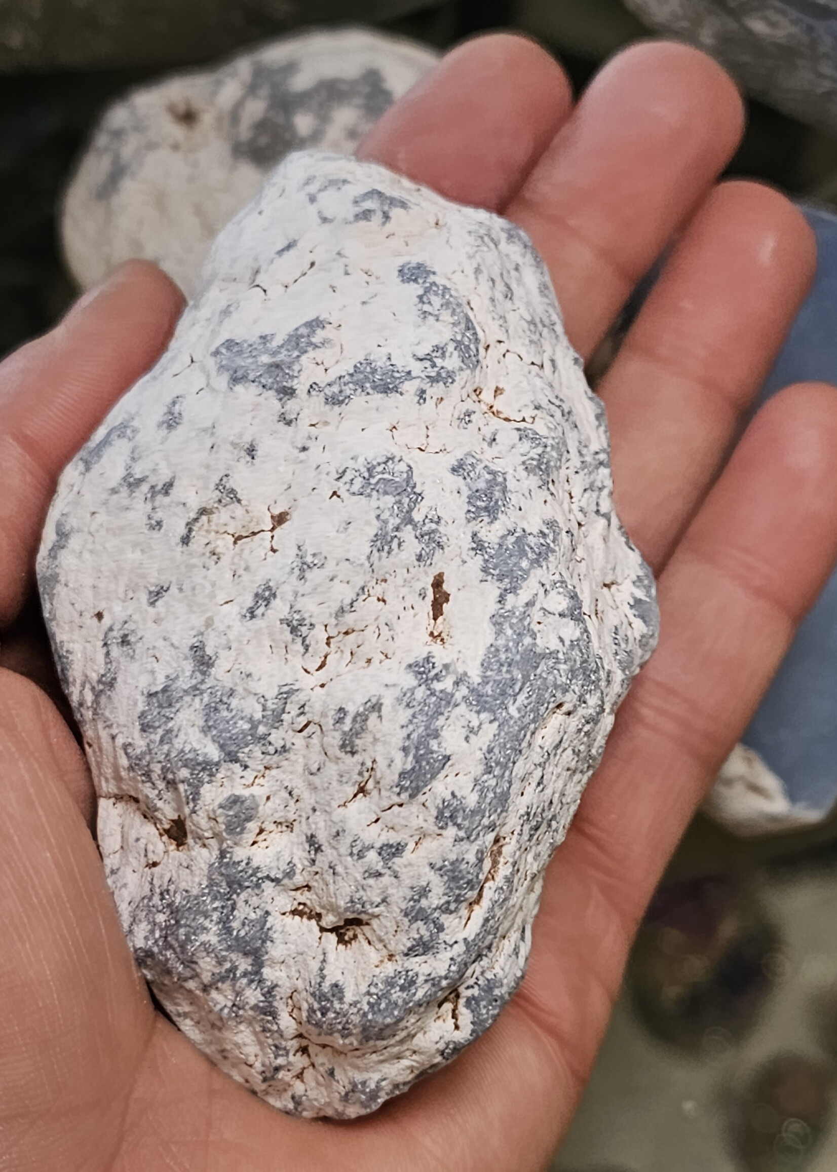 Angelite Half Polished Palm 3" x 2" x 2"