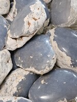 Angelite Half Polished Palm Stone 1.5-2"