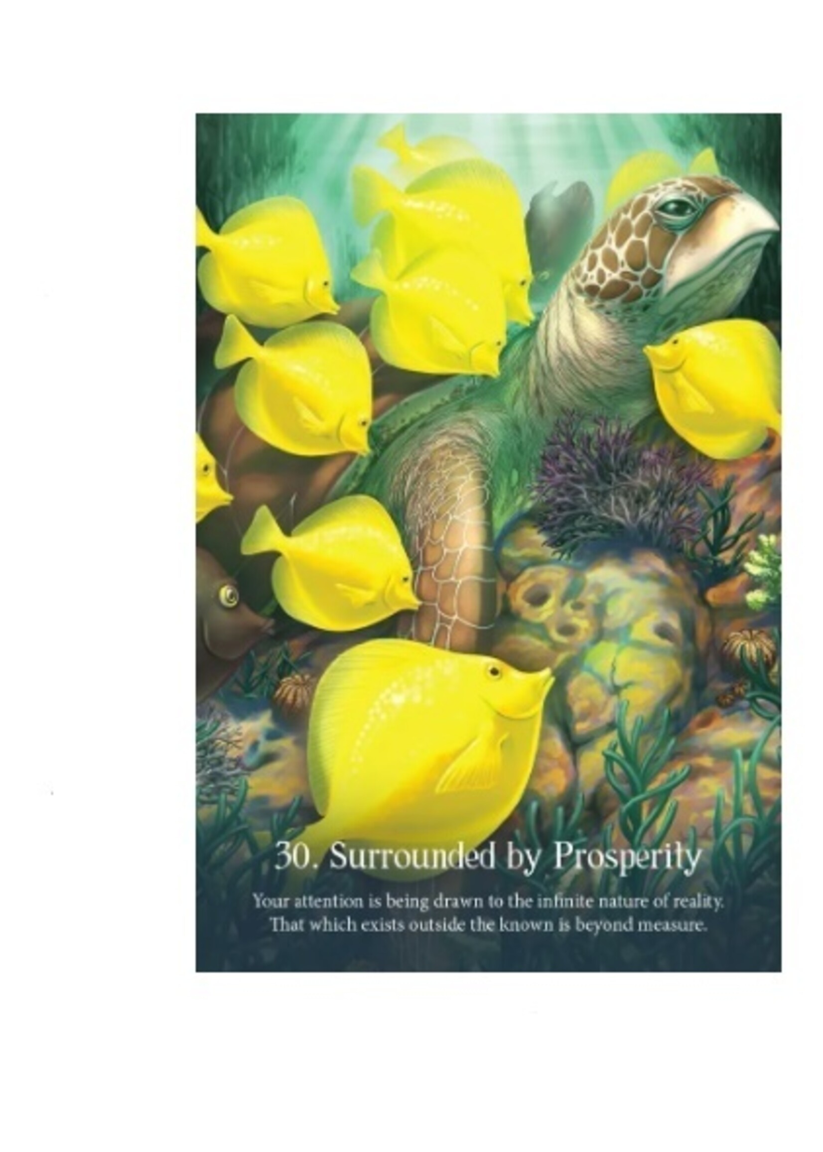 Whispers Of The Ocean 50-Card Deck & Book