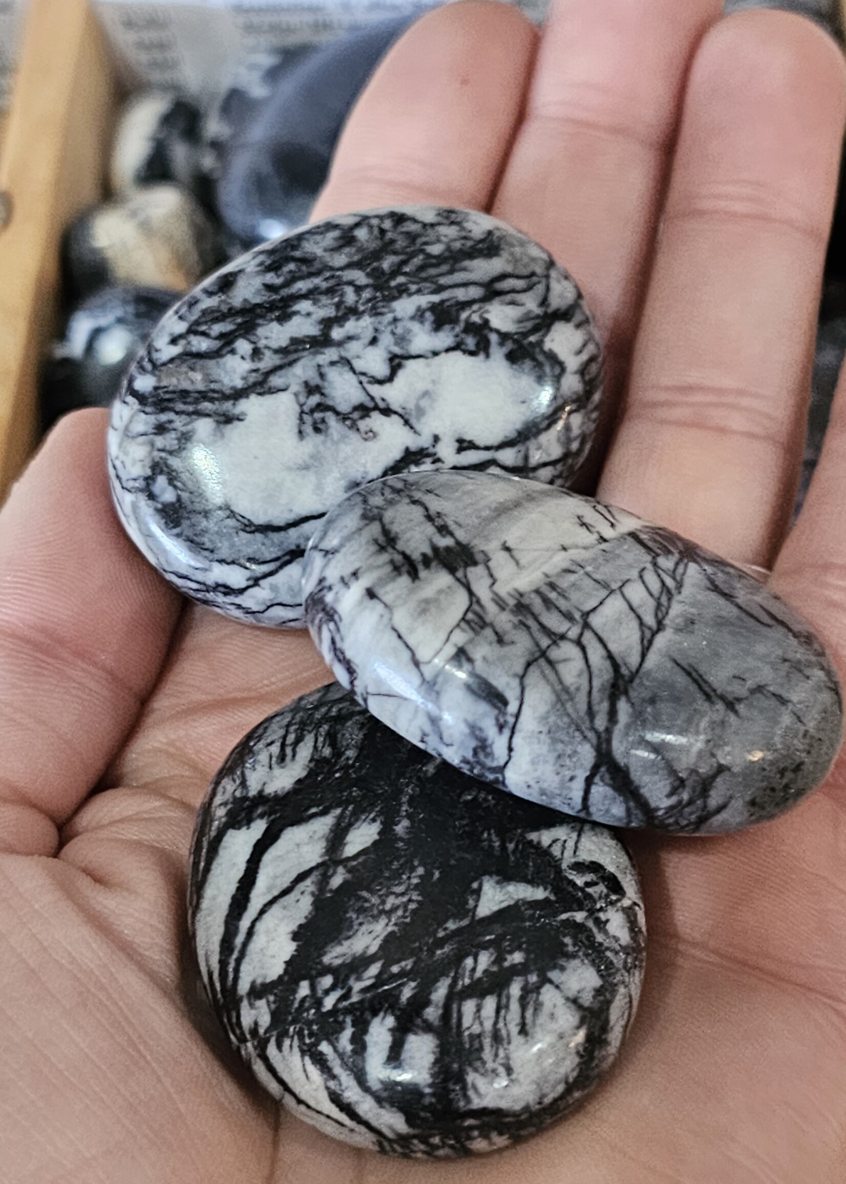 Zebra Jasper Palm Stone, Medium, 2x1.5x0.5 inch