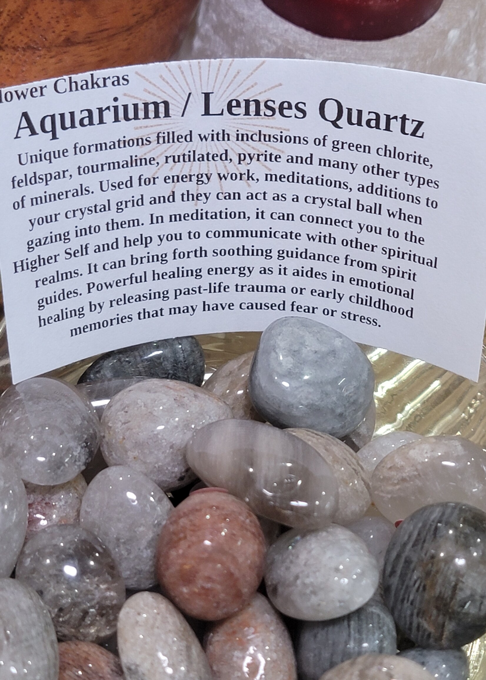 Lodolite / Garden Quartz Tumbled, Medium