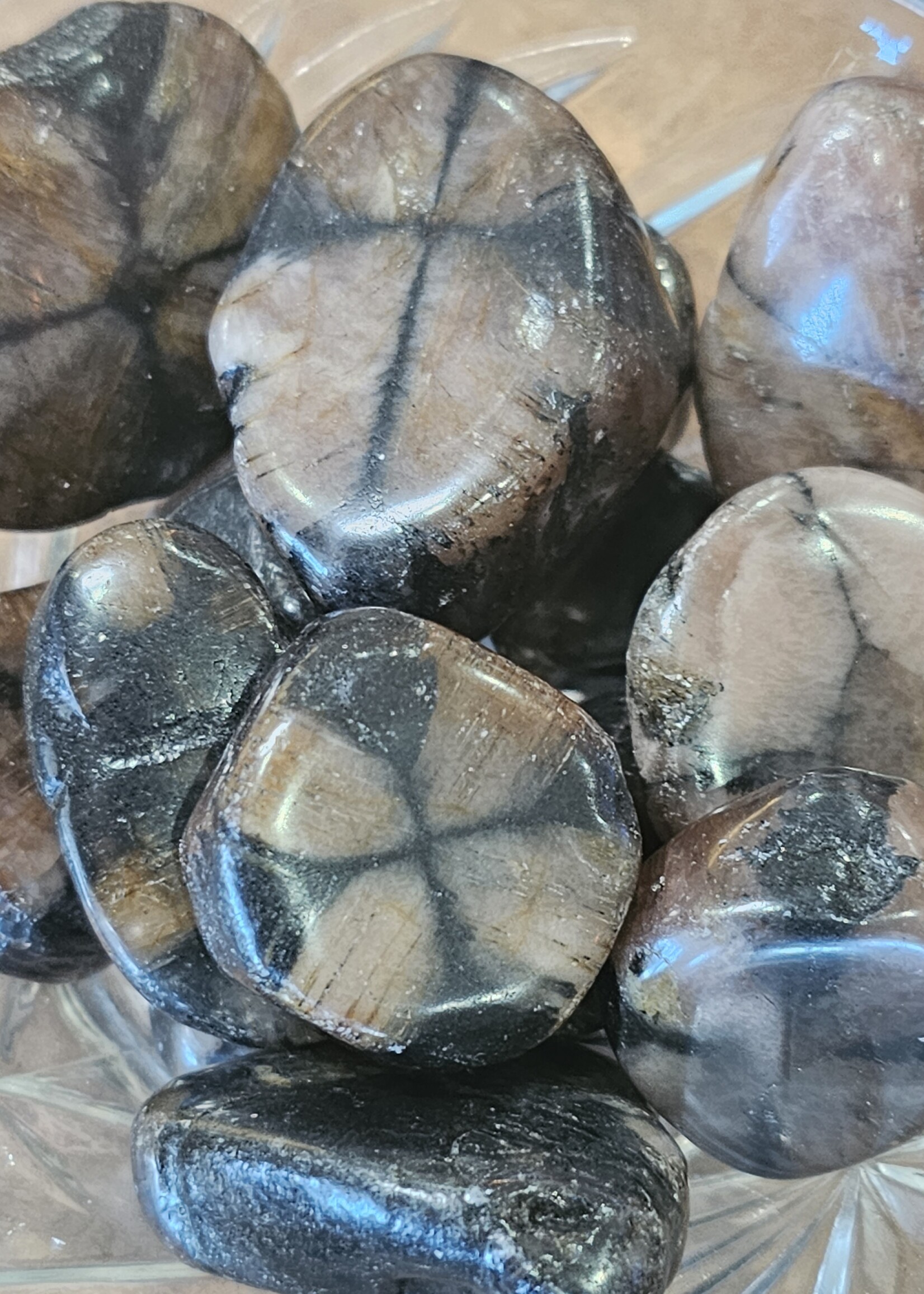 Chiastolite Tumbled