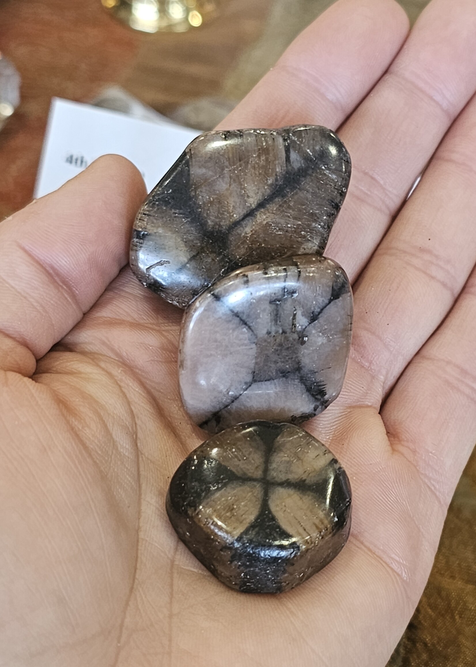 Chiastolite Tumbled