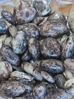 Astrophyllite Tumbled