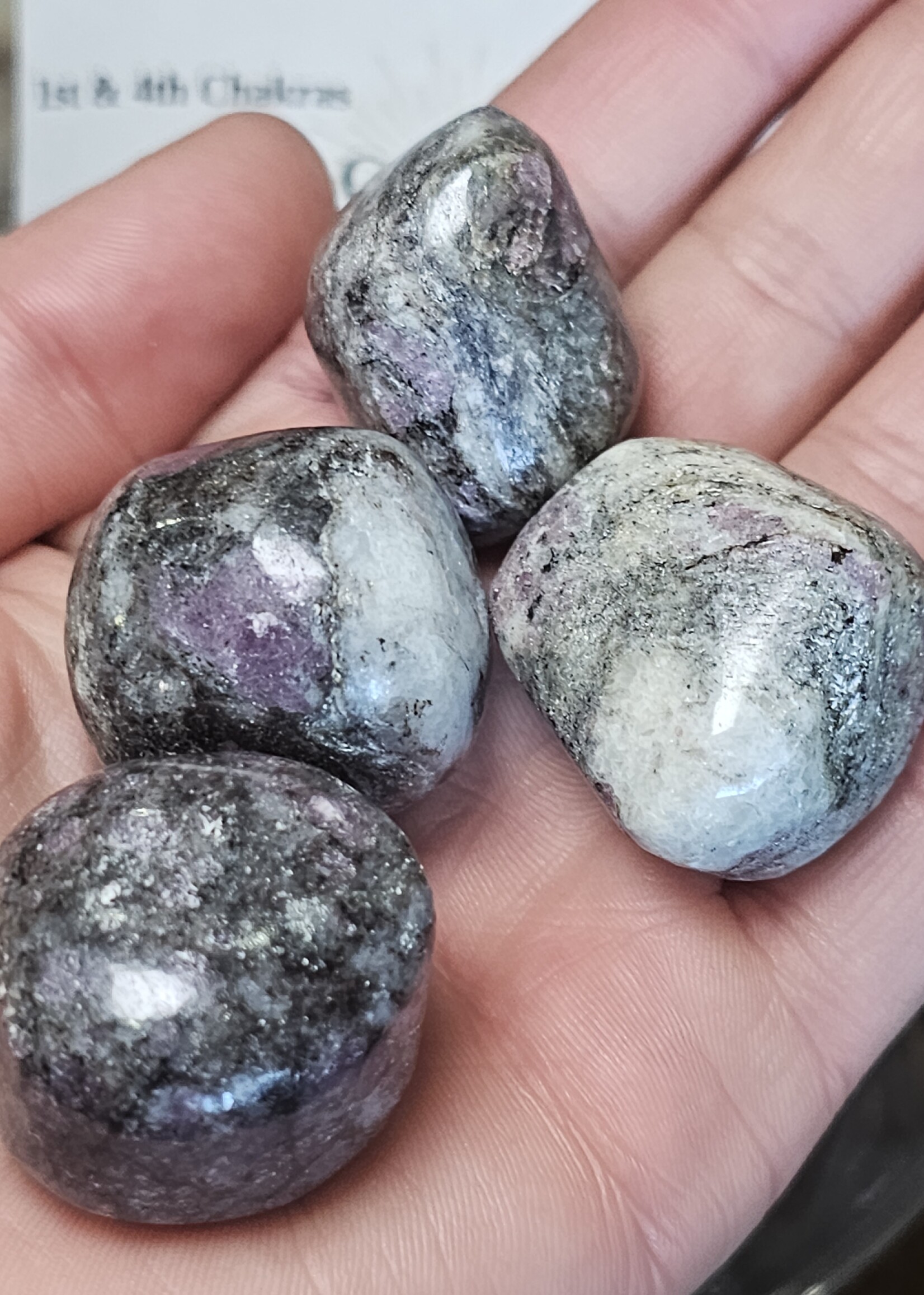 Astrophyllite and Garnet Tumbled